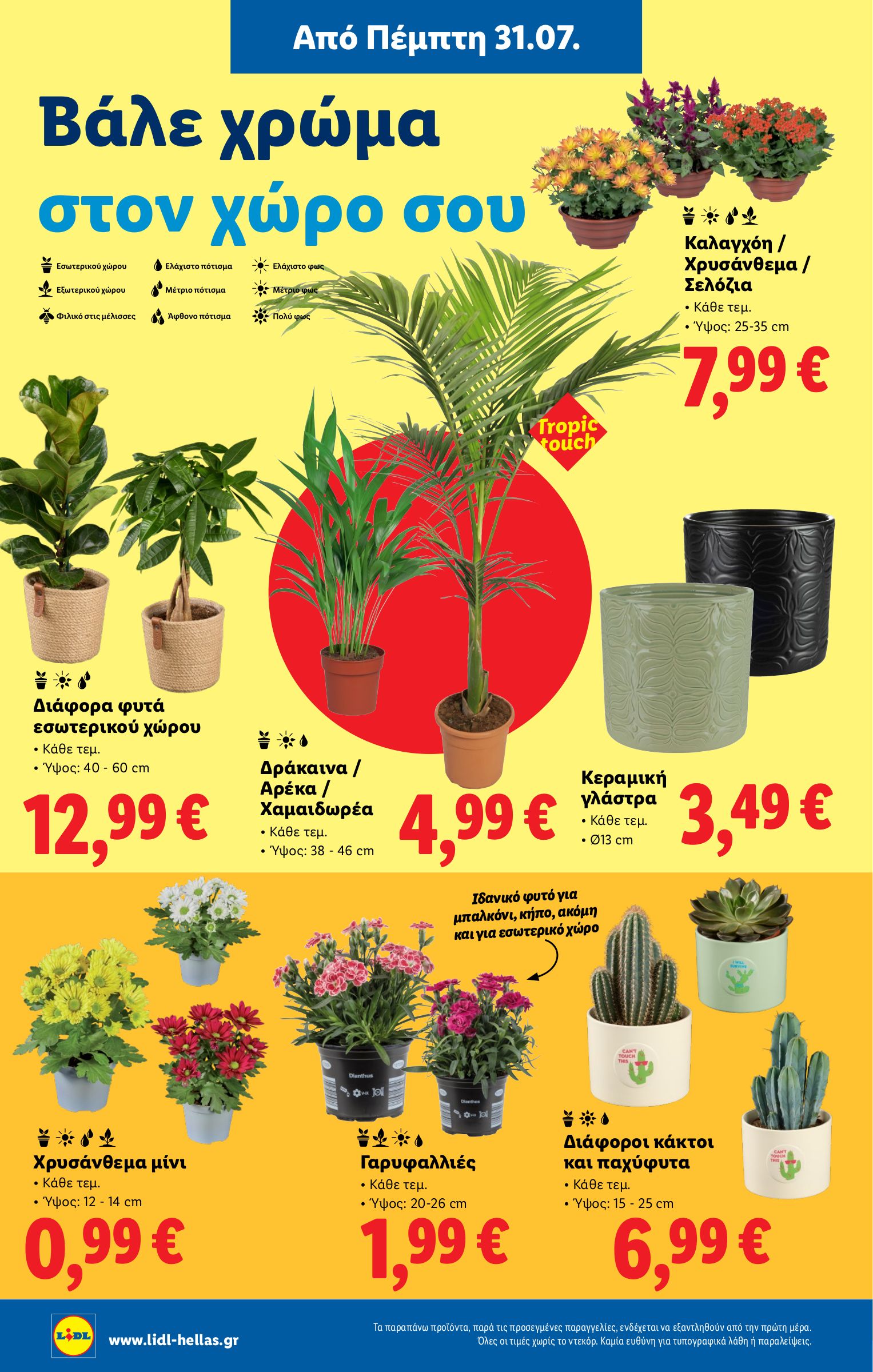 lidl - Lidl φυλλάδιο έγκυρο από 31/07 - 06/08 - page: 36