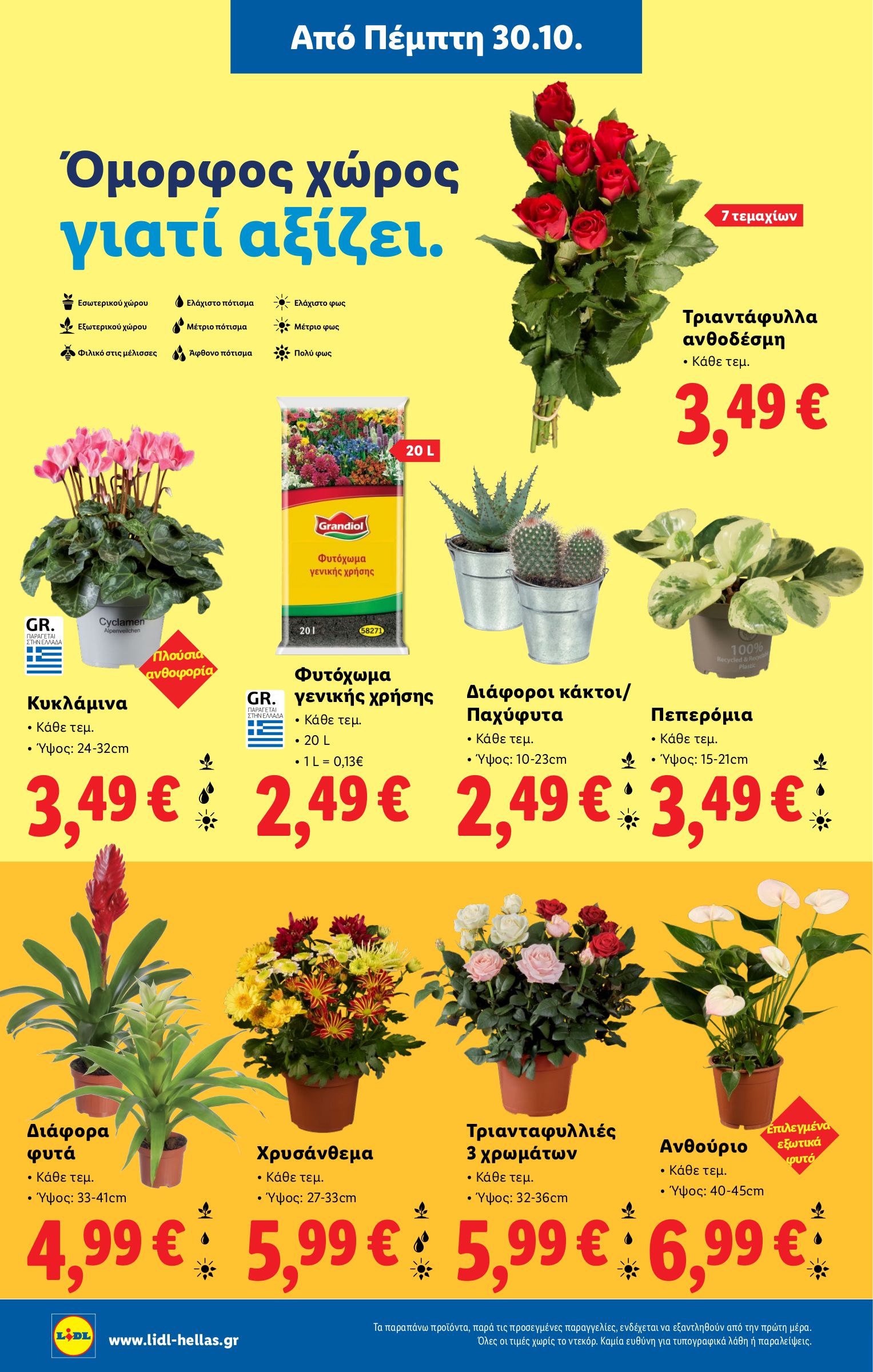 lidl - Lidl φυλλάδιο έγκυρο από 30/10 - 05/11 - page: 36