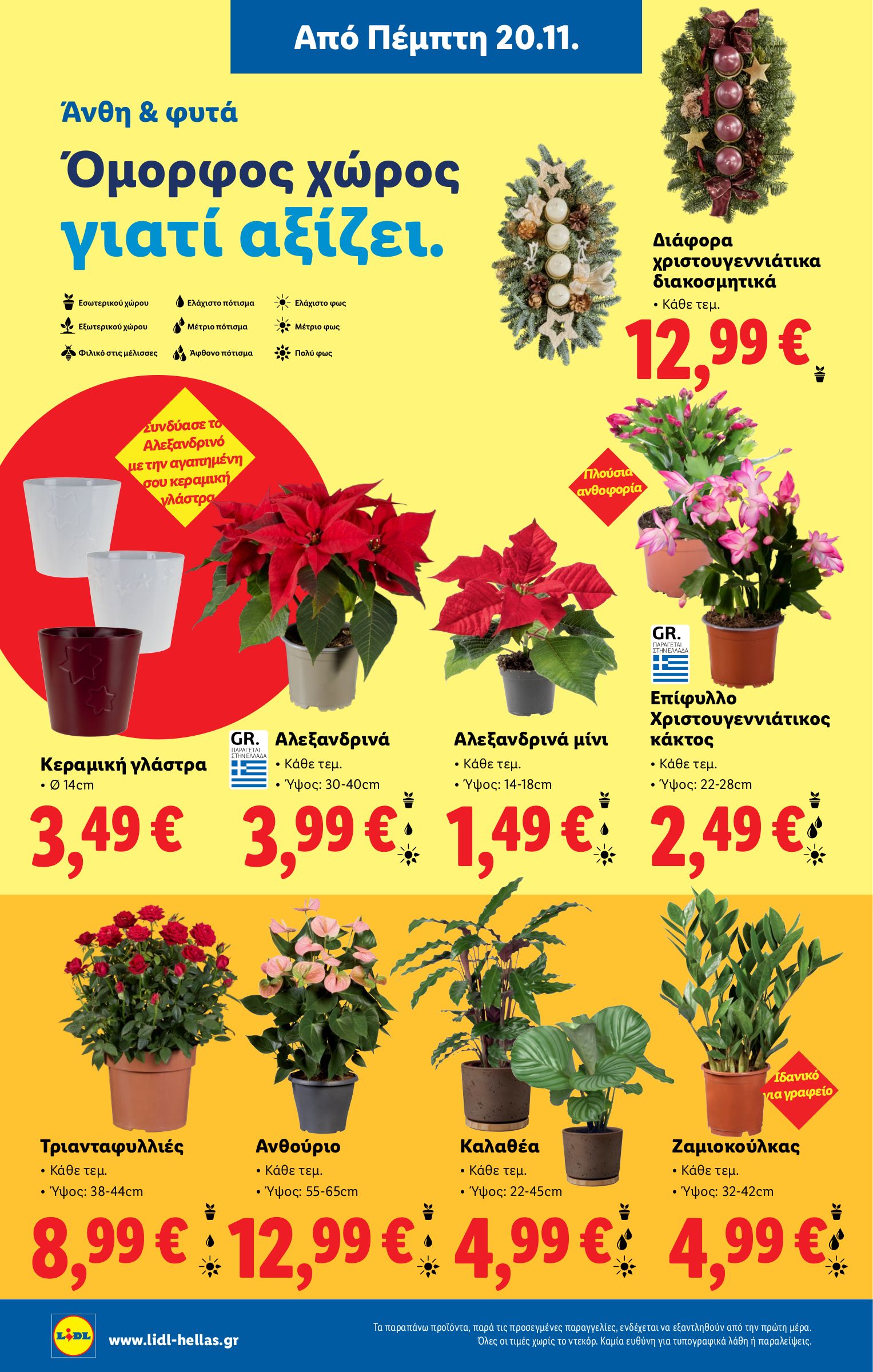 lidl - Lidl φυλλάδιο έγκυρο από 20/11 - 26/11 - page: 44