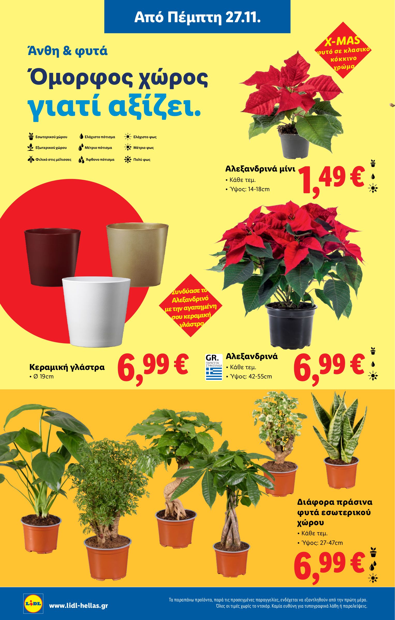 lidl - Lidl φυλλάδιο έγκυρο από 27/11 - 03/12 - page: 36