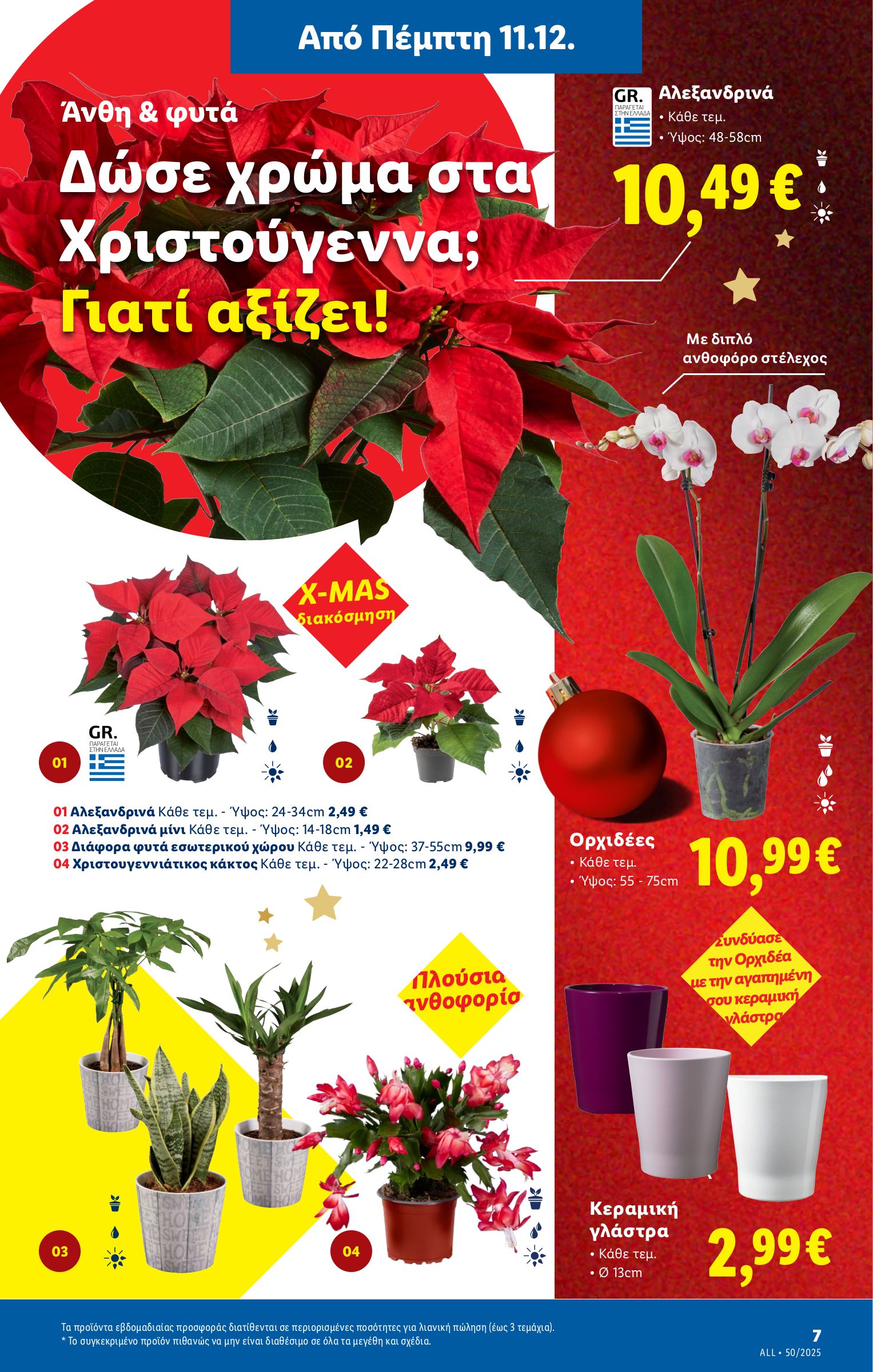 lidl - Lidl φυλλάδιο έγκυρο από 11/12 - 17/12 - page: 39