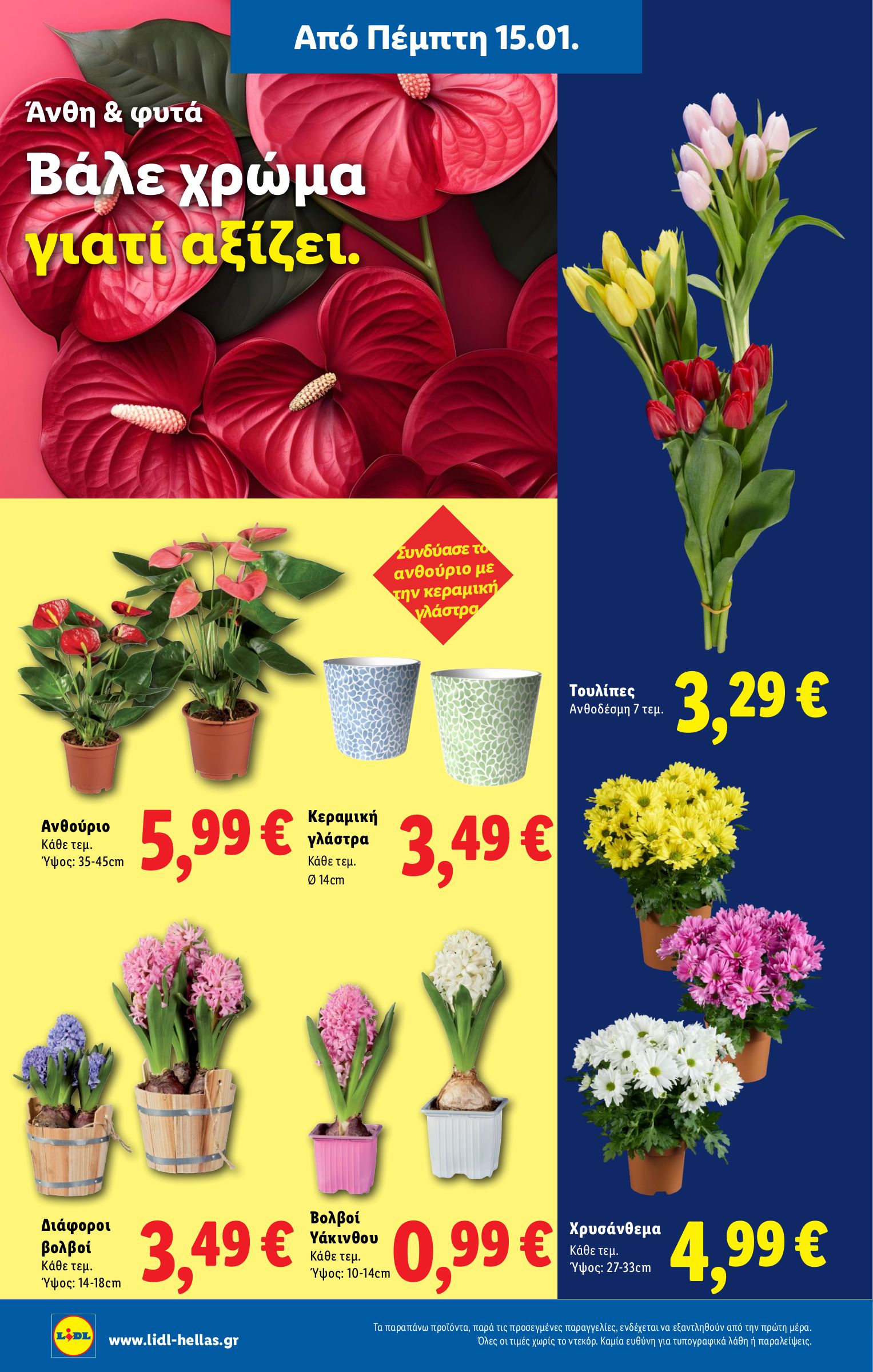 lidl - Lidl φυλλάδιο έγκυρο από 15/01 - 21/01 - page: 37