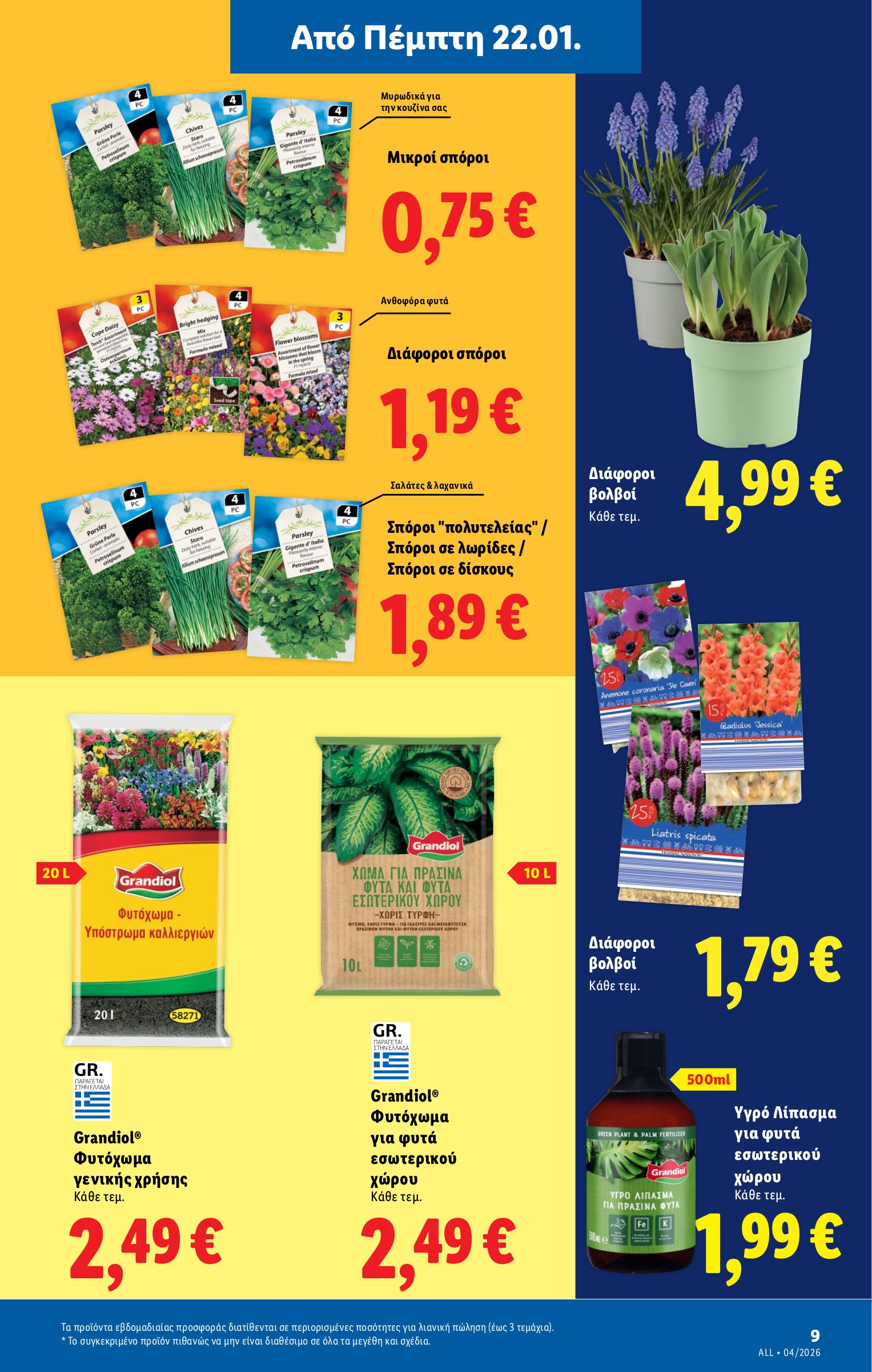 lidl - Lidl φυλλάδιο έγκυρο από 22/01 - 28/01 - page: 37