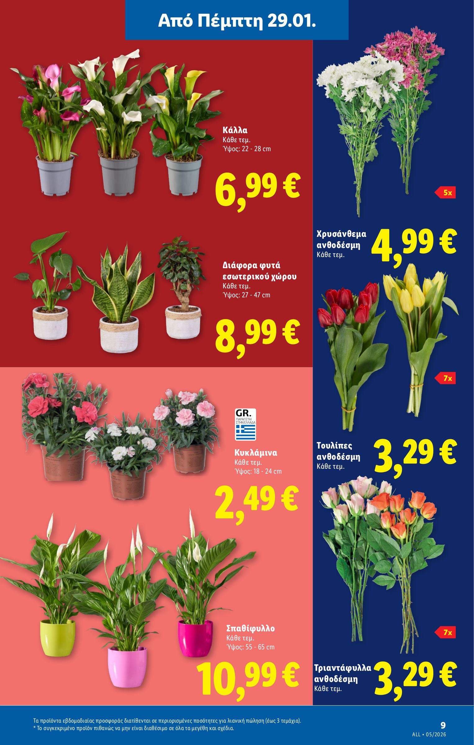 lidl - Lidl φυλλάδιο έγκυρο από 29/01 - 04/02 - page: 37