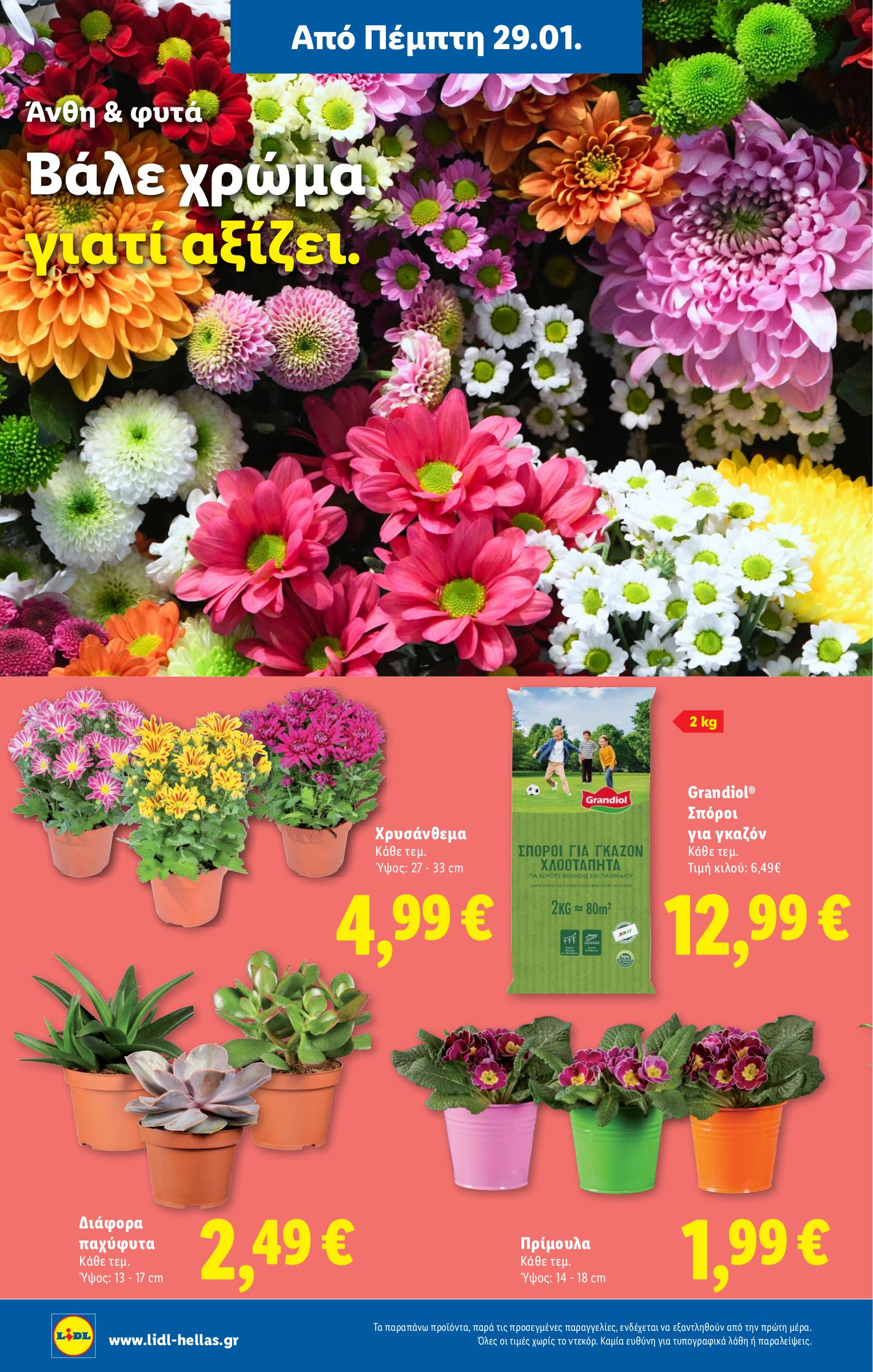 lidl - Lidl φυλλάδιο έγκυρο από 29/01 - 04/02 - page: 36