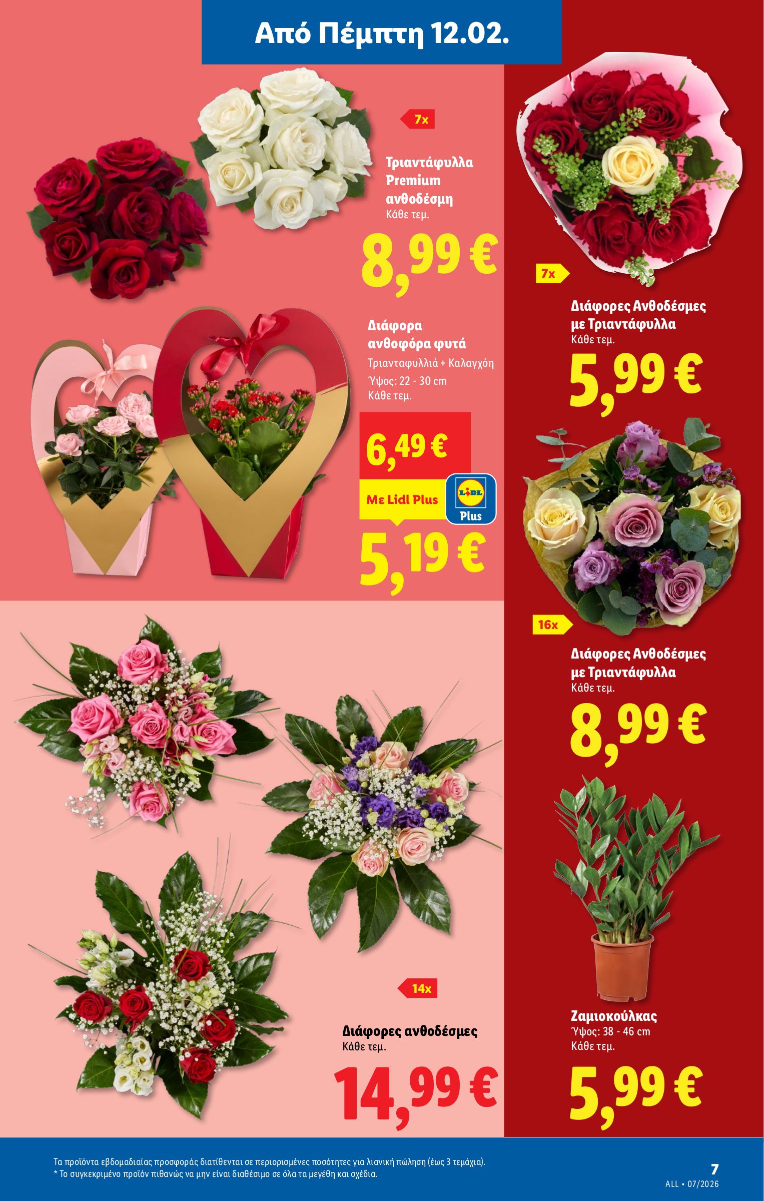 lidl - Lidl - Non Food φυλλάδιο έγκυρο από 12/02/2026 - 18/02/2026 - page: 7