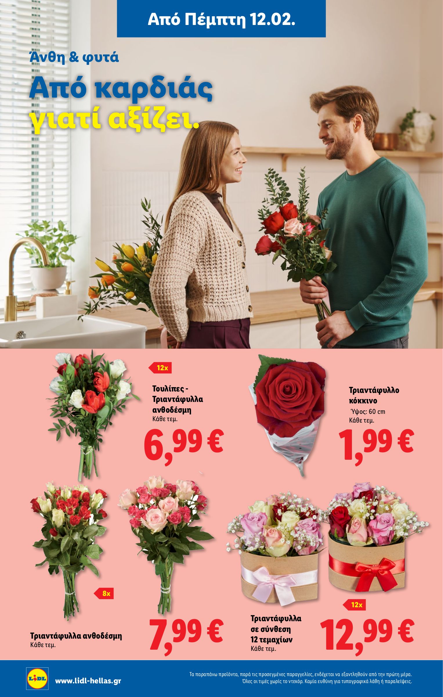 lidl - Lidl - Non Food φυλλάδιο έγκυρο από 12/02/2026 - 18/02/2026 - page: 6