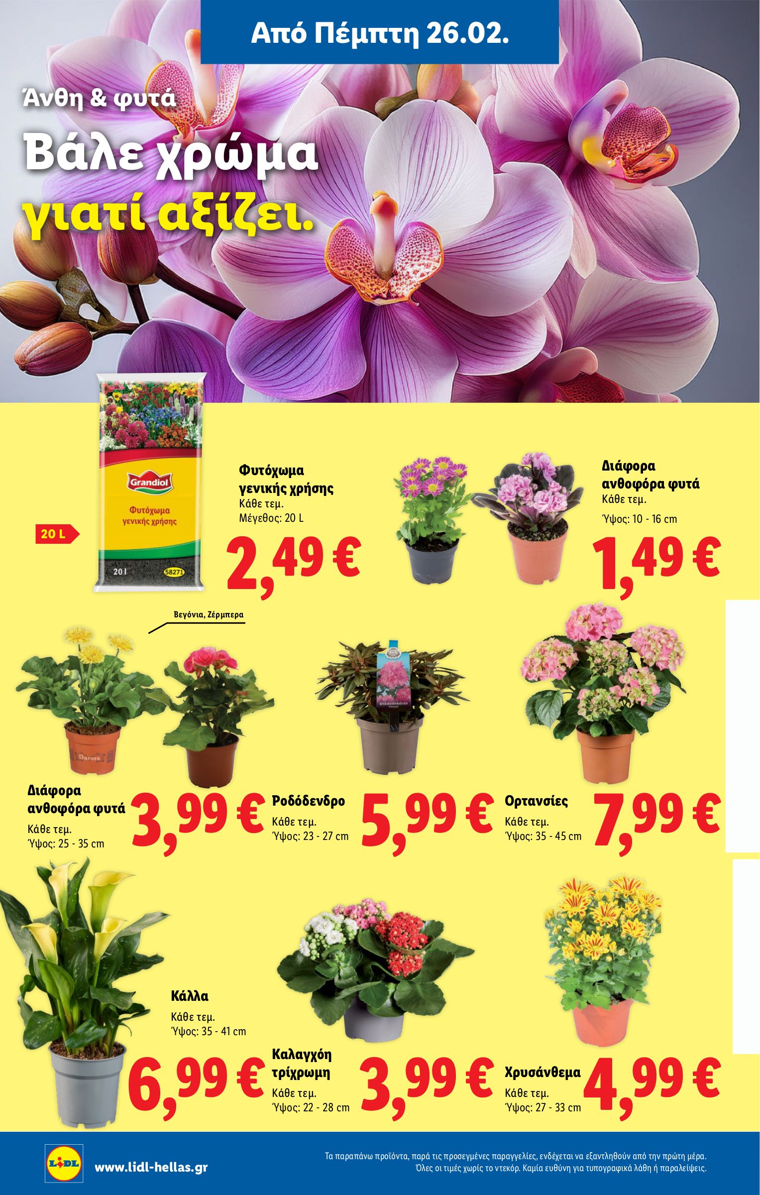 lidl - Lidl φυλλάδιο έγκυρο από 26/02/2026 - 04/03/2026 - page: 64