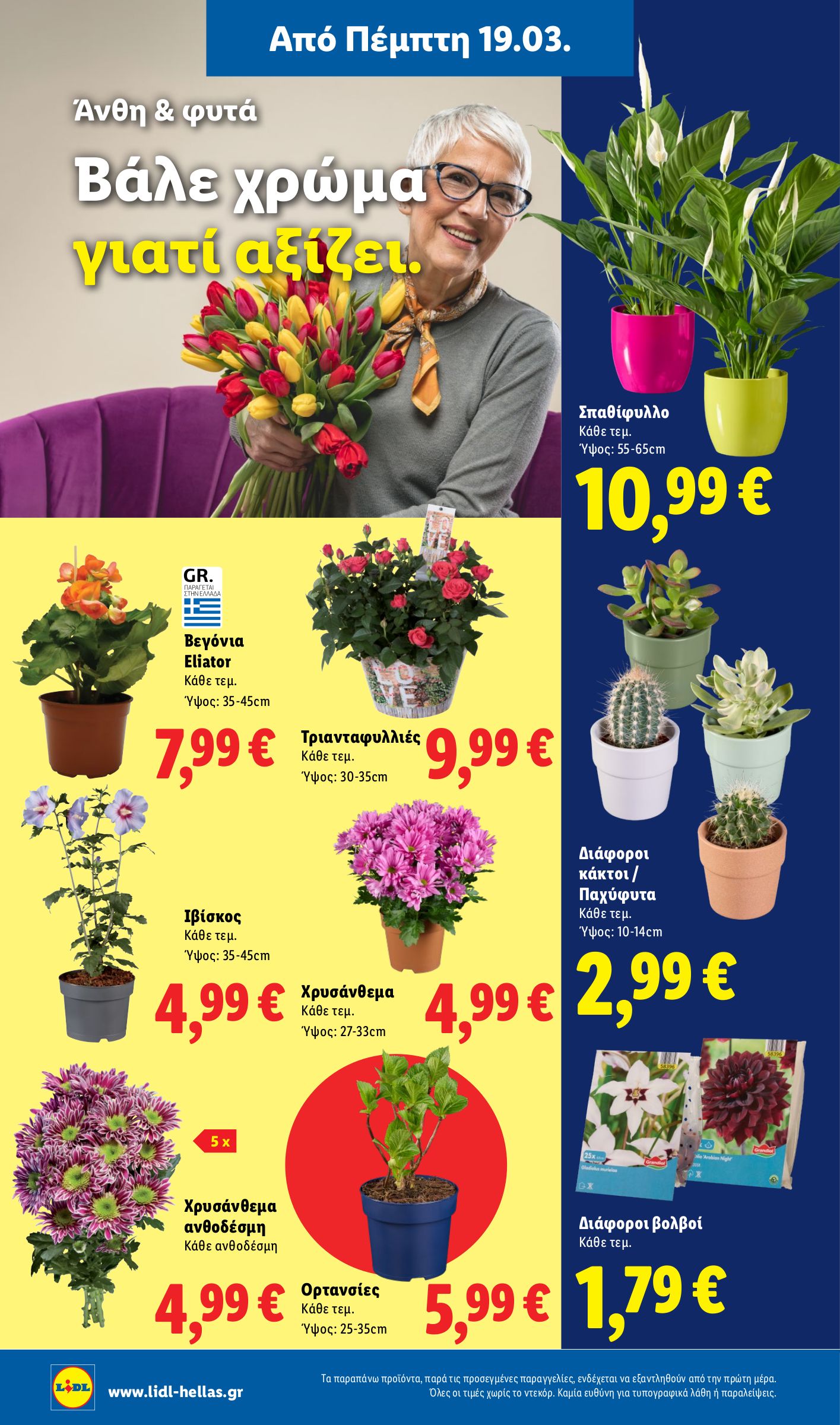 lidl - Lidl φυλλάδιο έγκυρο από 19/03/2026 - 24/03/2026 - page: 58
