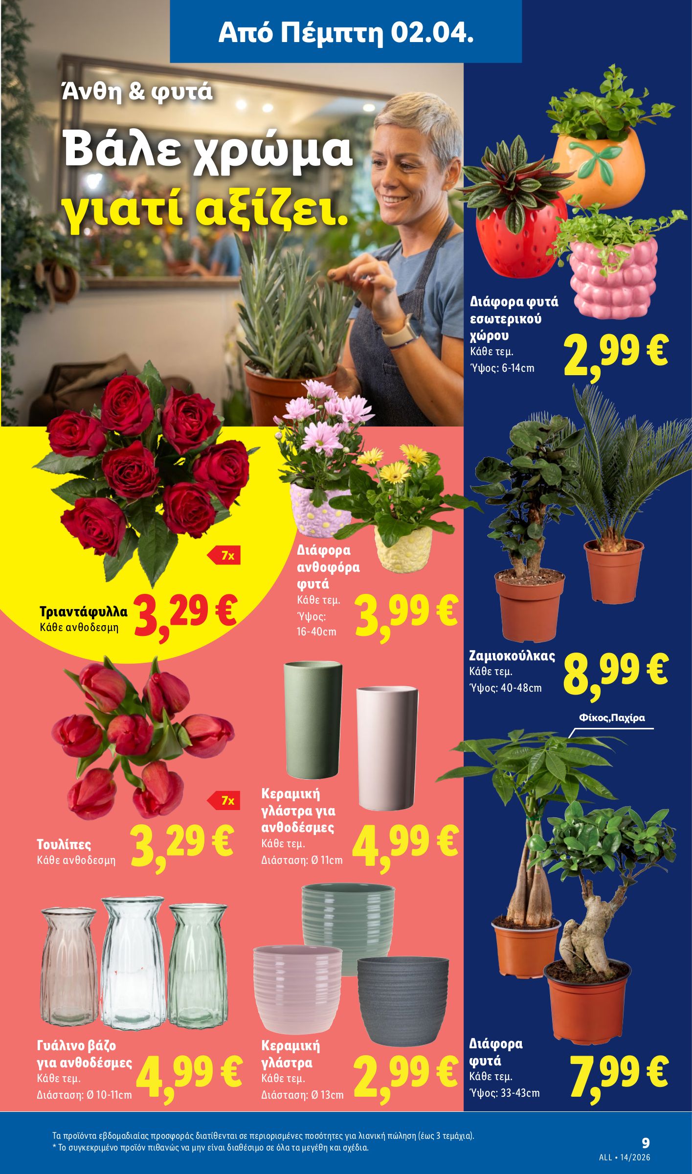 lidl - Lidl φυλλάδιο έγκυρο από 02/04/2026 - 08/04/2026 - page: 39