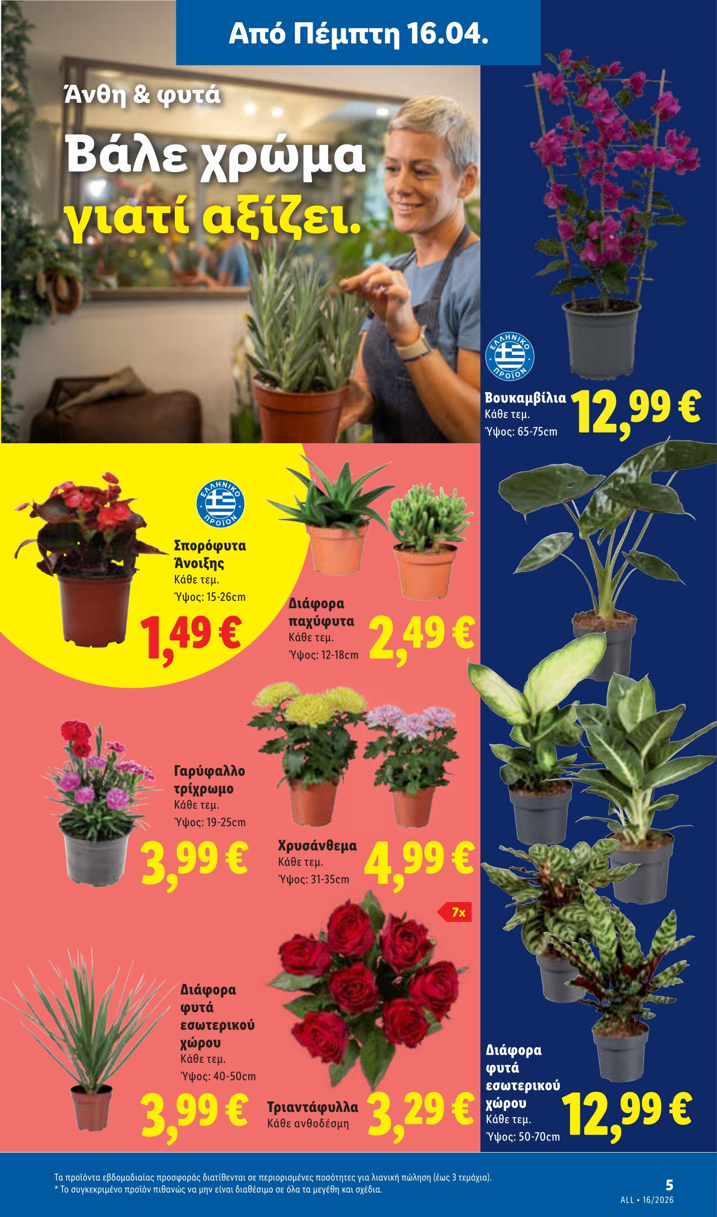 lidl - Το τρέχον φυλλάδιο Lidl ισχύει από πέμπτης 16/04/2026 έως τετάρτης 22/04/2026 - page: 41