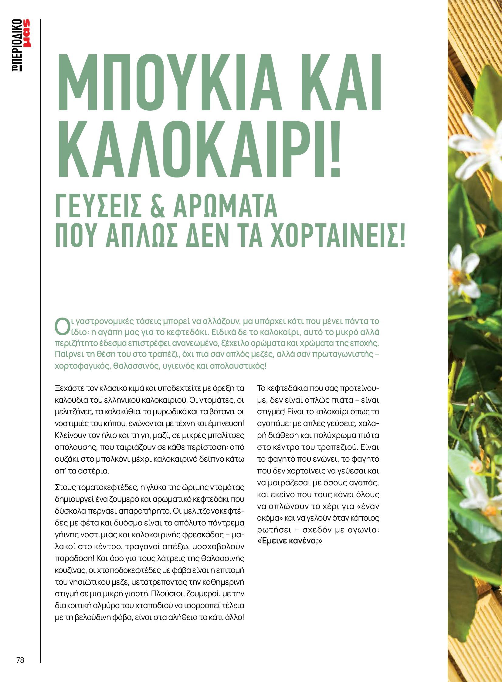 masoutis - Masoutis φυλλάδιο έγκυρο από 10/06 - 30/06 - page: 78 masoutis - Masoutis φυλλάδιο έγκυρο από 10/06 - 30/06 - page: 78