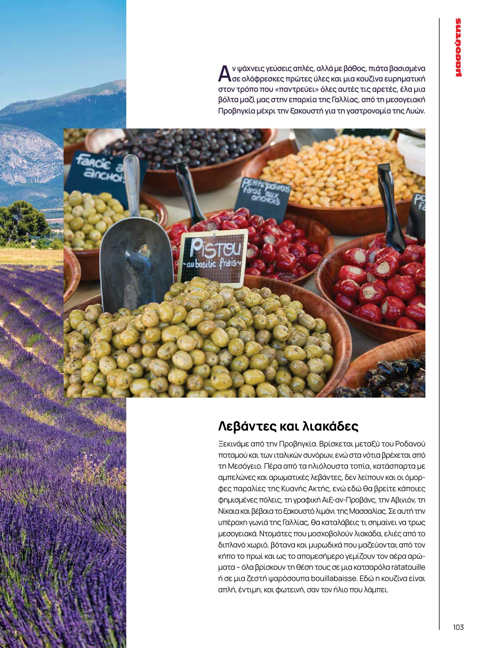 masoutis - Masoutis - Φθινόπωρο - Γεύσεις & εμπνεύσεις φυλλάδιο έγκυρο από 26/08 - 31/10 - page: 103