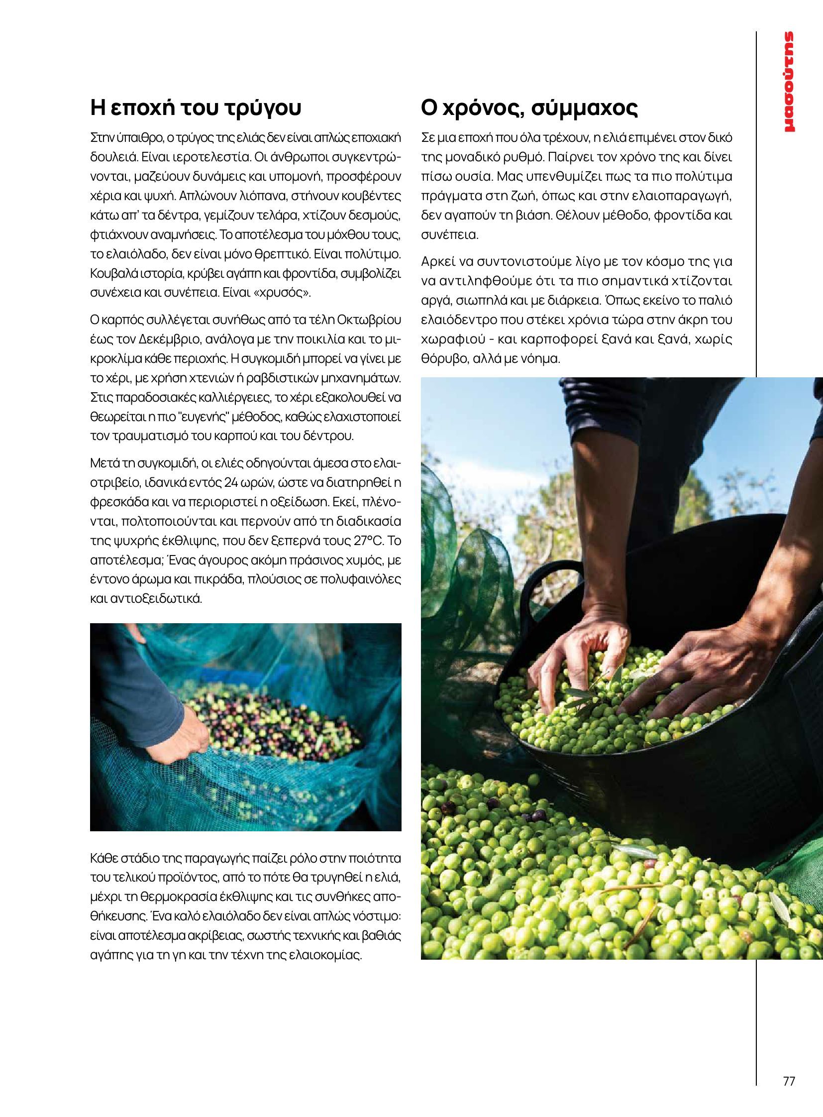 masoutis - Masoutis - Φθινόπωρο - Γεύσεις & εμπνεύσεις φυλλάδιο έγκυρο από 26/08 - 31/10 - page: 77