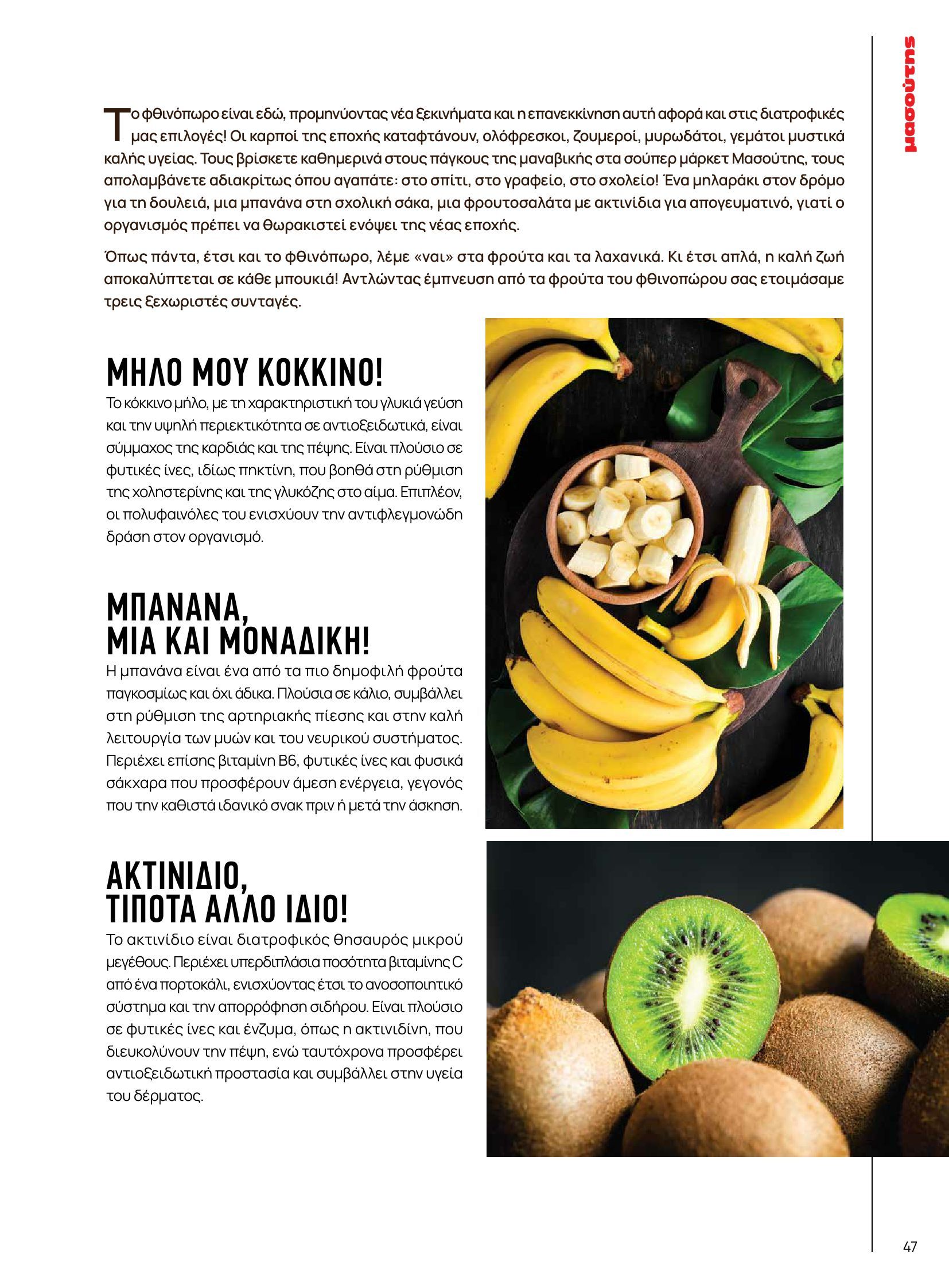 masoutis - Masoutis - Φθινόπωρο - Γεύσεις & εμπνεύσεις φυλλάδιο έγκυρο από 26/08 - 31/10 - page: 47