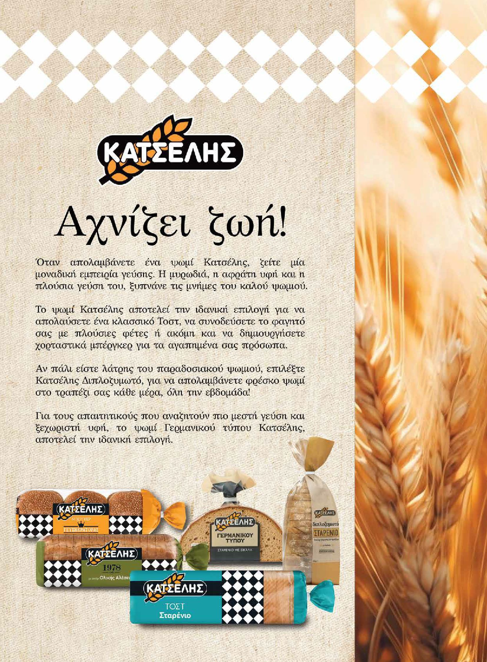 masoutis - Masoutis - Φθινόπωρο - Γεύσεις & εμπνεύσεις φυλλάδιο έγκυρο από 26/08 - 31/10 - page: 13