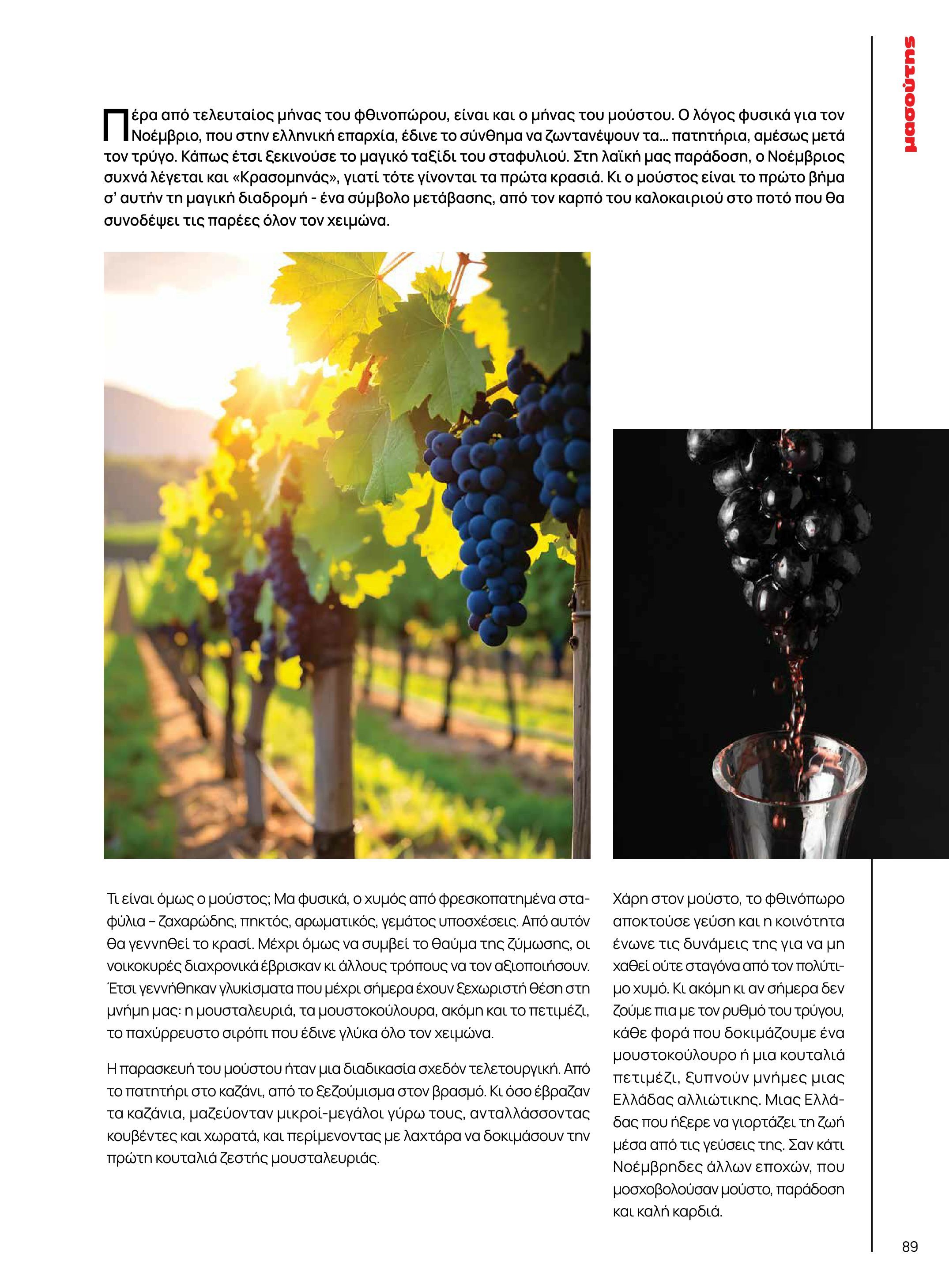 masoutis - Masoutis - Χειμώνας - Γεύσεις & εμπνεύσεις φυλλάδιο έγκυρο από 18/11 - 31/12 - page: 89