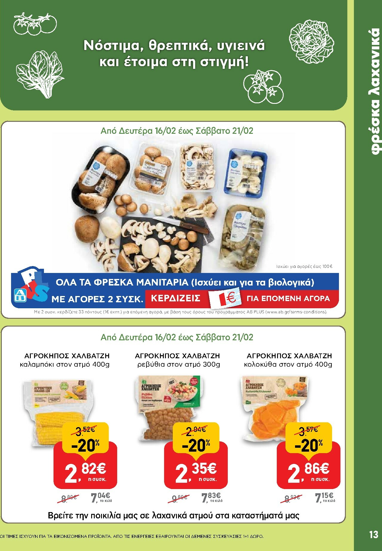 ab - AB φυλλάδιο έγκυρο από 16/02/2026 - 04/03/2026 - page: 13