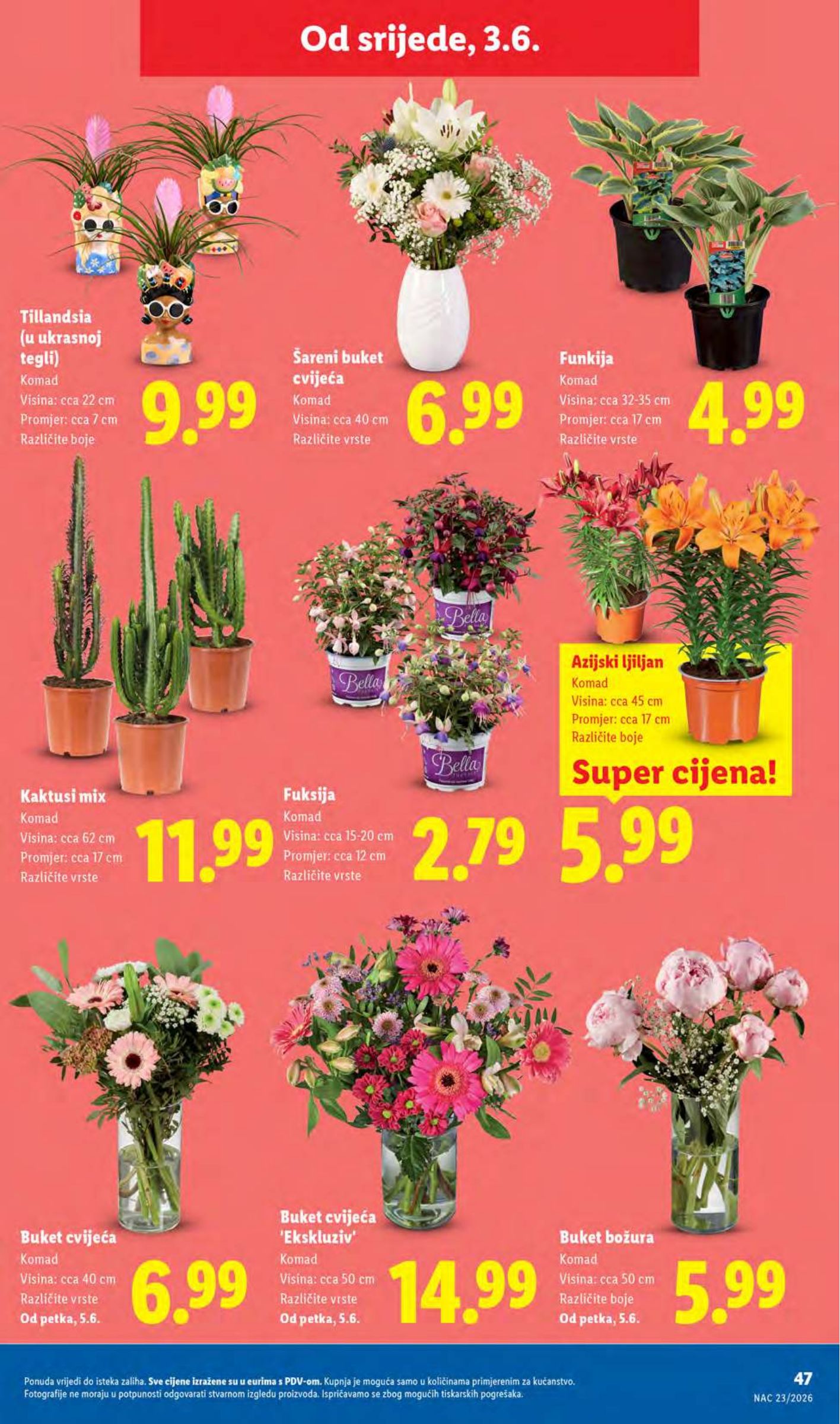 lidl - Novi Lidl katalog od ponedjeljka, 01.06.2026 do nedjelje, 07.06.2026 - page: 47