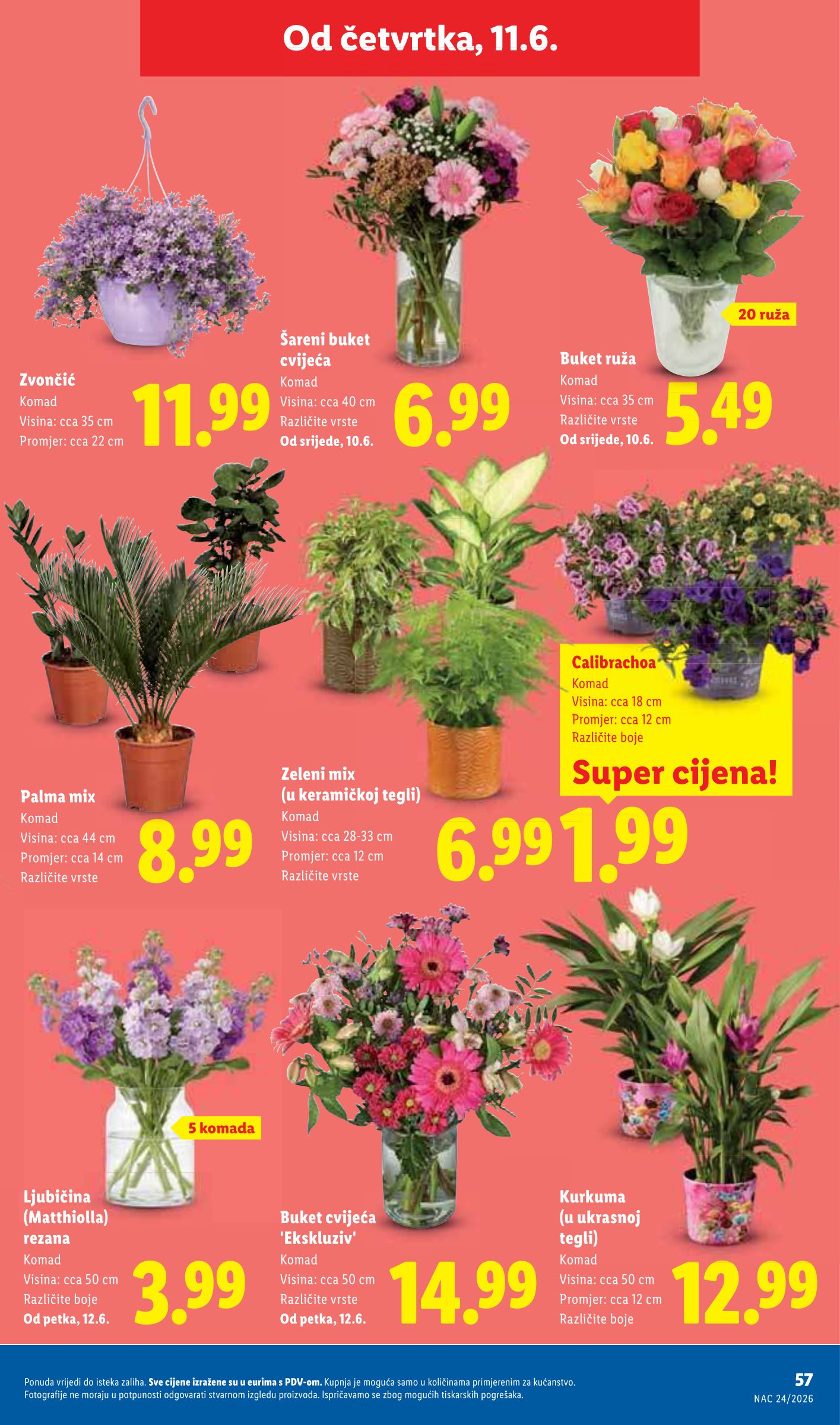 lidl - Novi Lidl katalog od ponedjeljka, 08.06.2026 do nedjelje, 14.06.2026 - page: 57