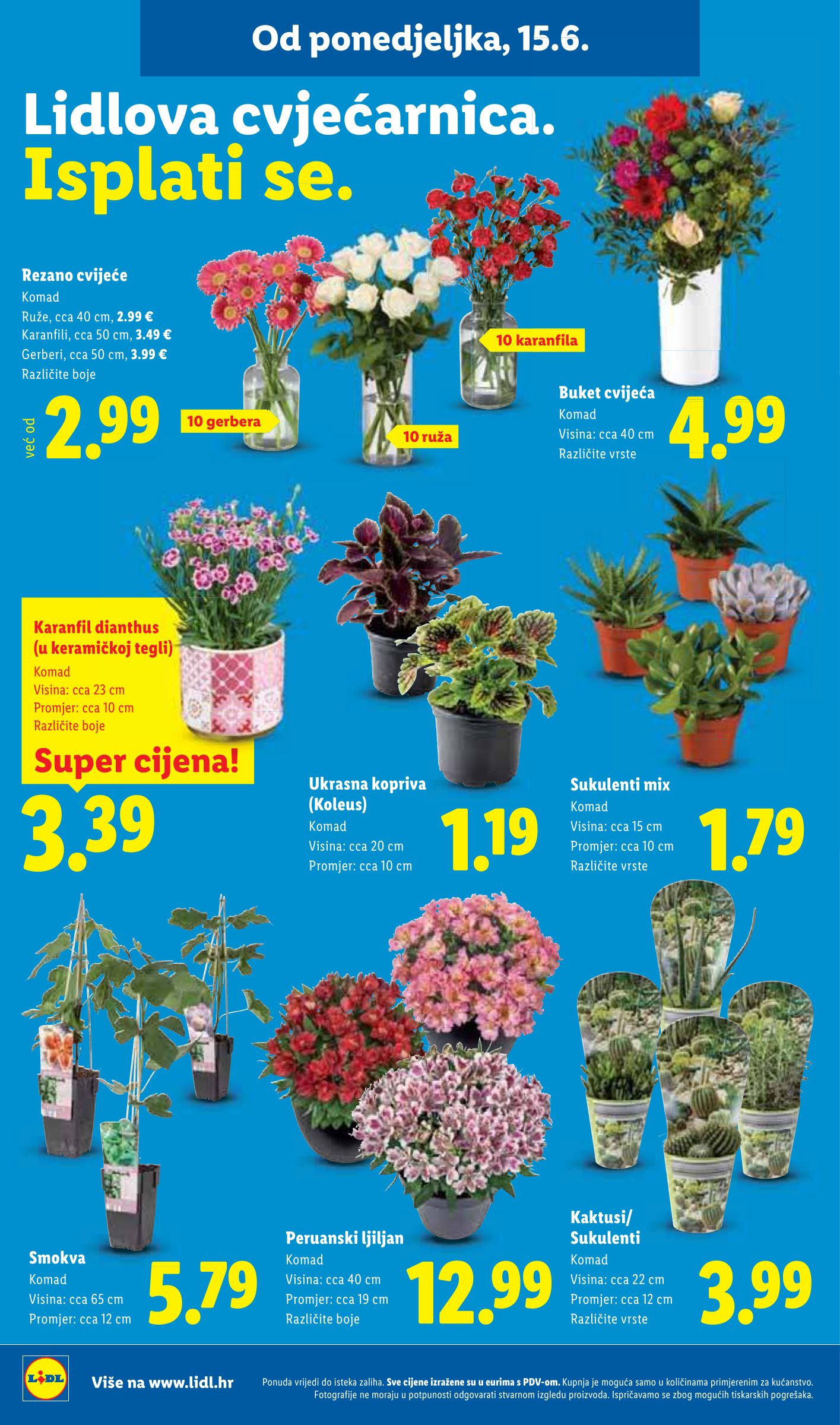 lidl - Novi Lidl katalog od ponedjeljka, 15.06.2026 do nedjelje, 21.06.2026 - page: 46