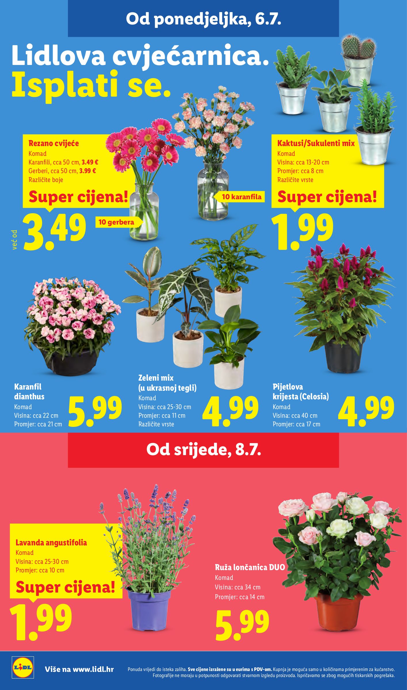 lidl - Novi Lidl katalog od ponedjeljka, 06.07.2026 do nedjelje, 12.07.2026 - page: 47
