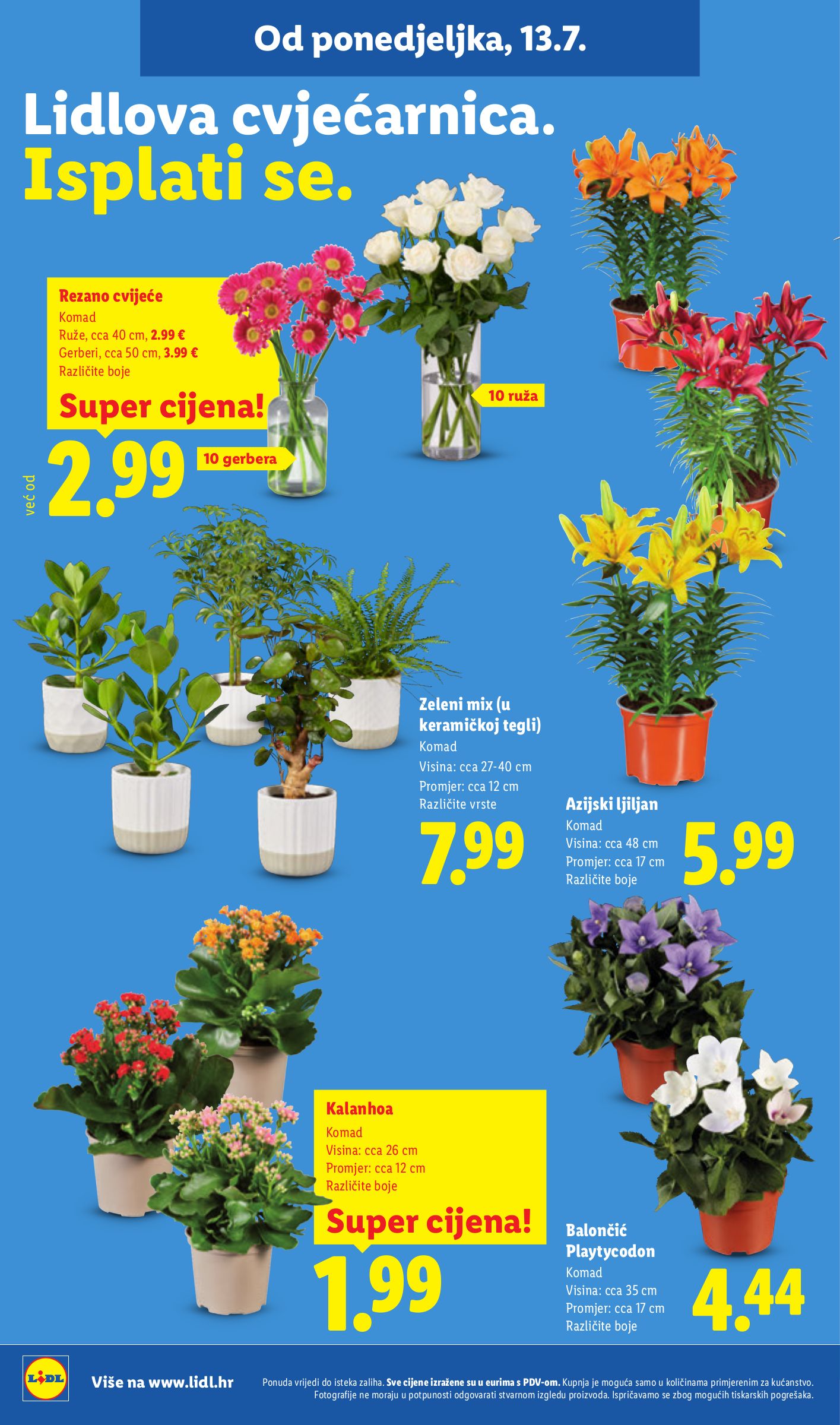 lidl - Novi Lidl katalog od ponedjeljka, 13.07.2026 do nedjelje, 19.07.2026 - page: 50