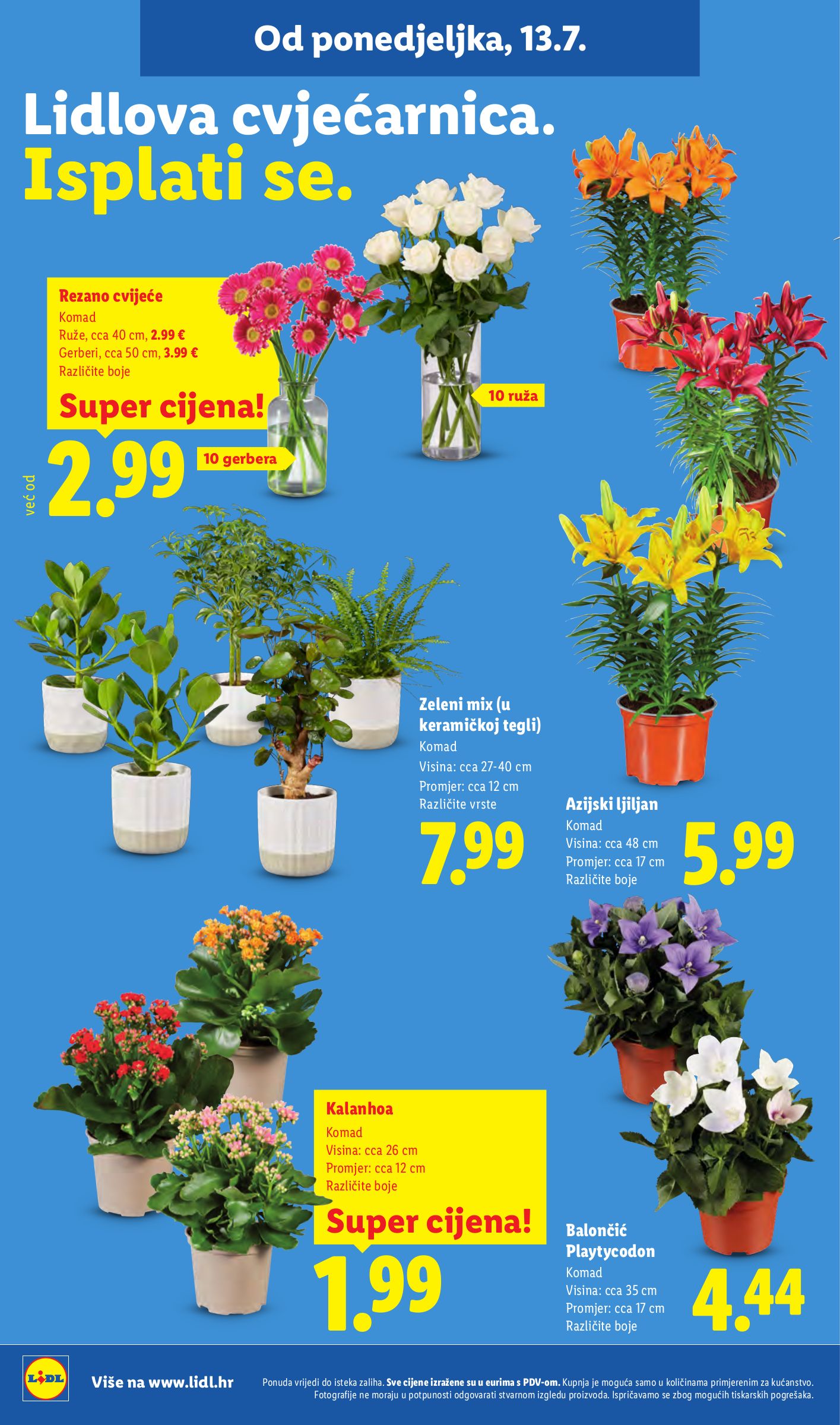 lidl - Aktualni katalog Lidl od ponedjeljka, 13.07.2026 do nedjelje, 19.07.2026 - page: 50