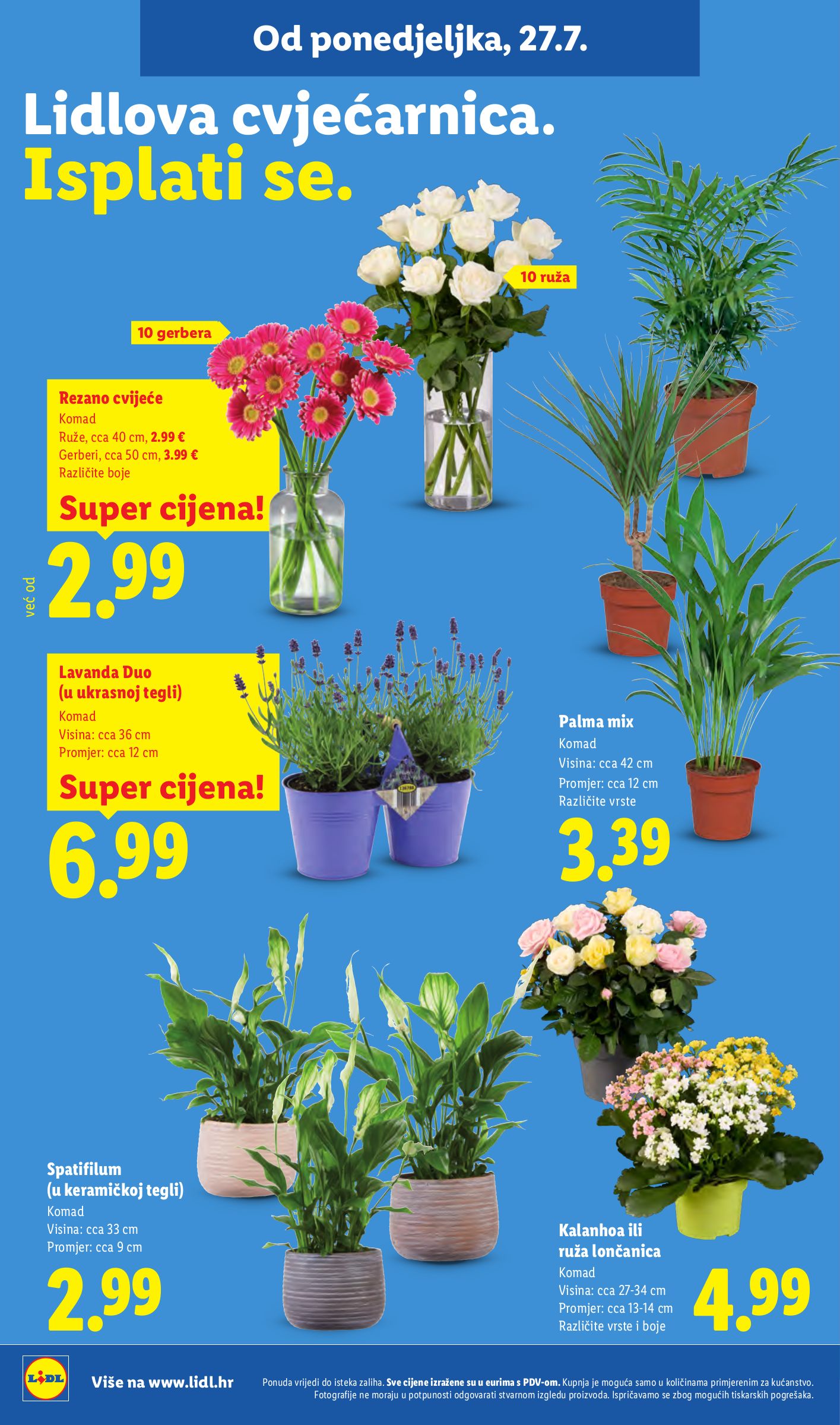 lidl - Novi Lidl katalog od ponedjeljka, 27.07.2026 do nedjelje, 02.08.2026 - page: 50