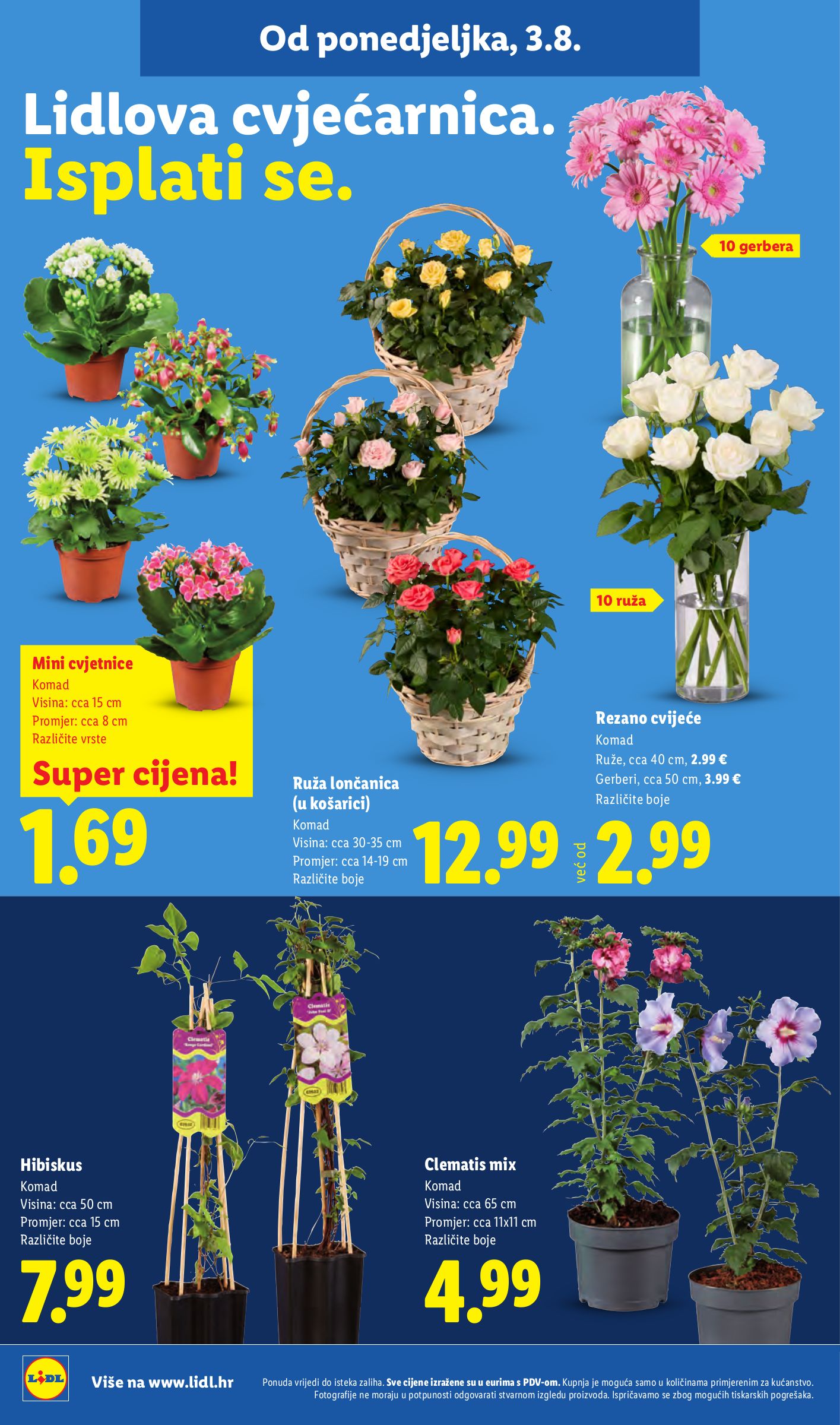 lidl - Novi Lidl katalog od ponedjeljka, 03.08.2026 do nedjelje, 09.08.2026 - page: 50