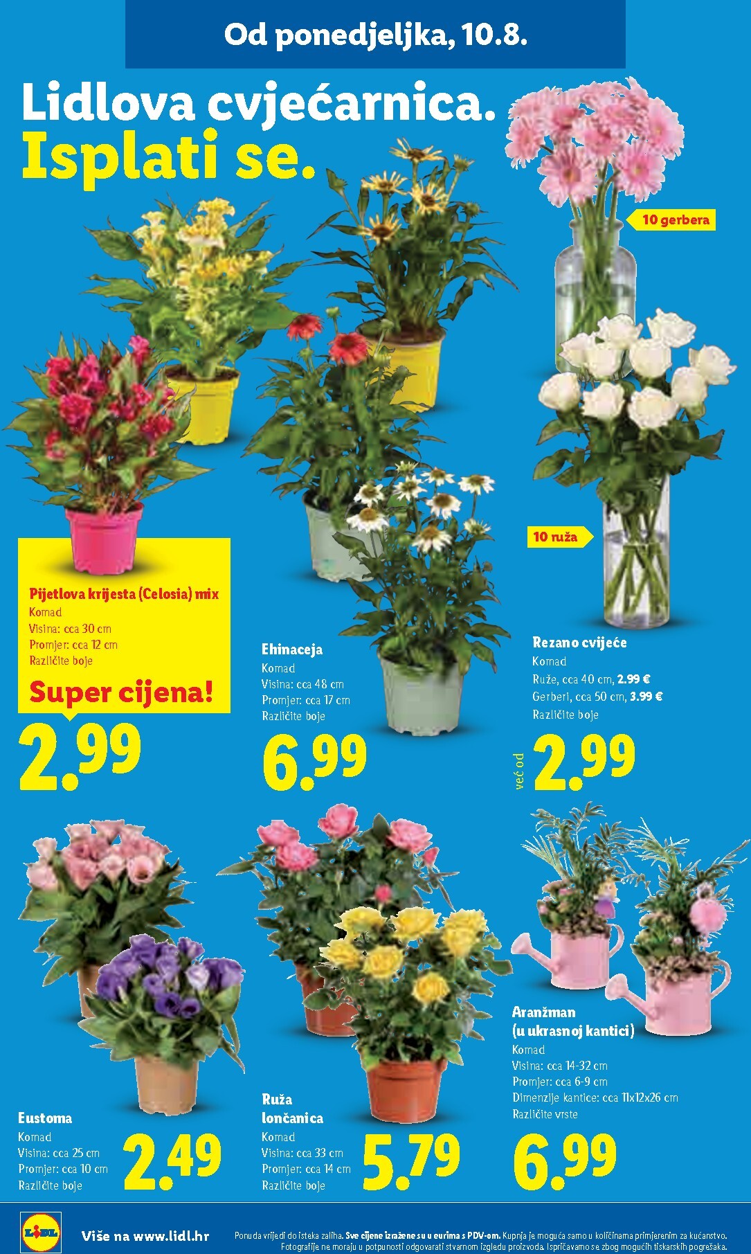 lidl - Novi Lidl katalog od ponedjeljka, 10.08.2026 do nedjelje, 16.08.2026 - page: 50