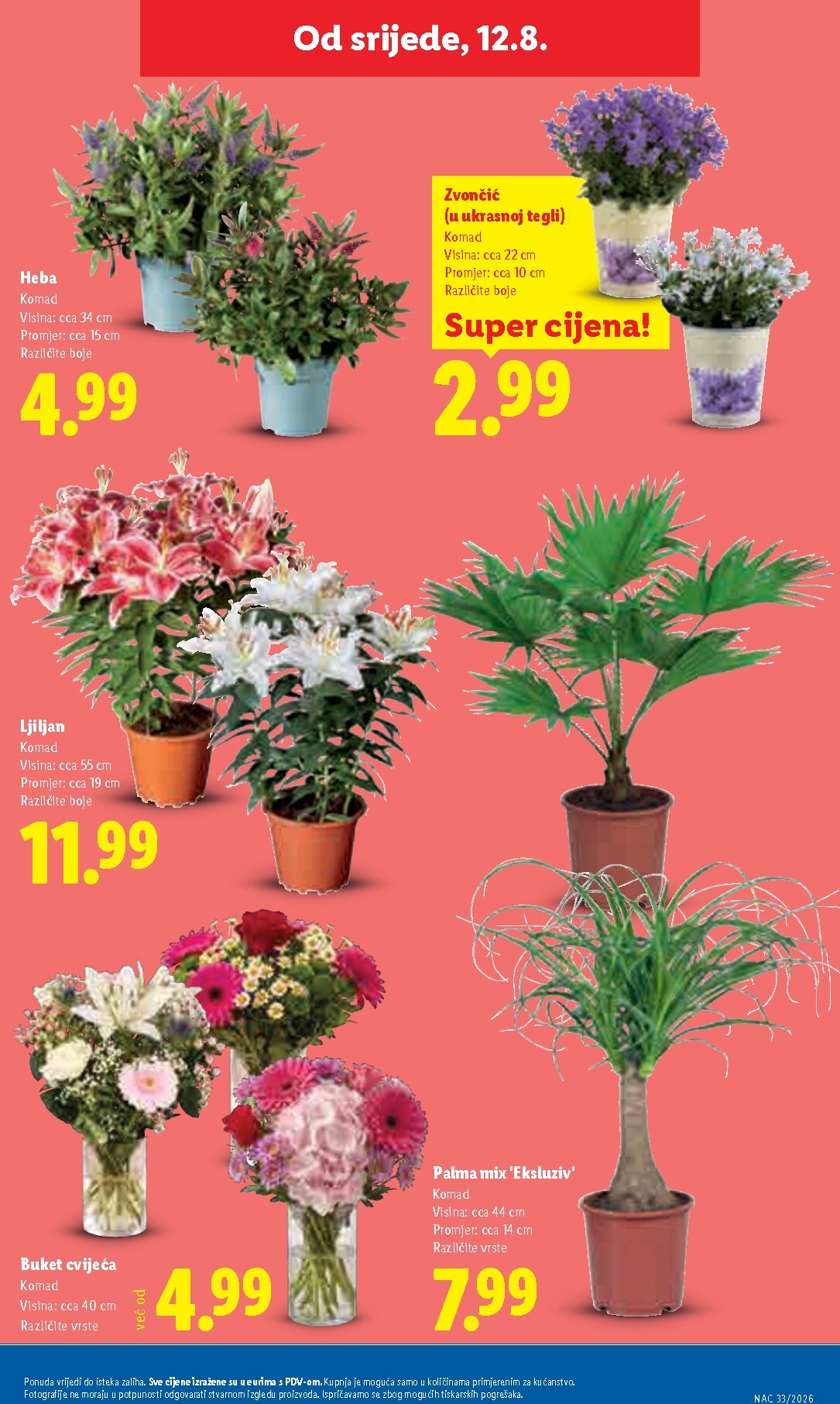 lidl - Novi Lidl katalog od ponedjeljka, 10.08.2026 do nedjelje, 16.08.2026 - page: 51