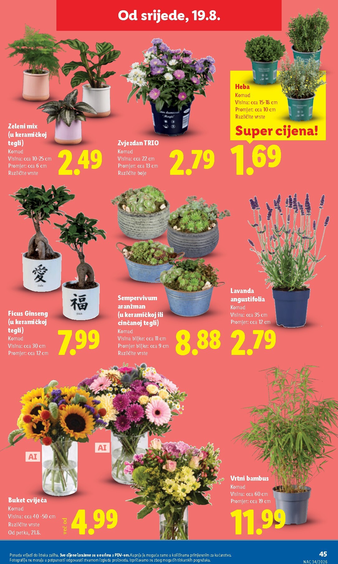 lidl - Novi Lidl katalog od ponedjeljka, 17.08.2026 do nedjelje, 23.08.2026 - page: 45