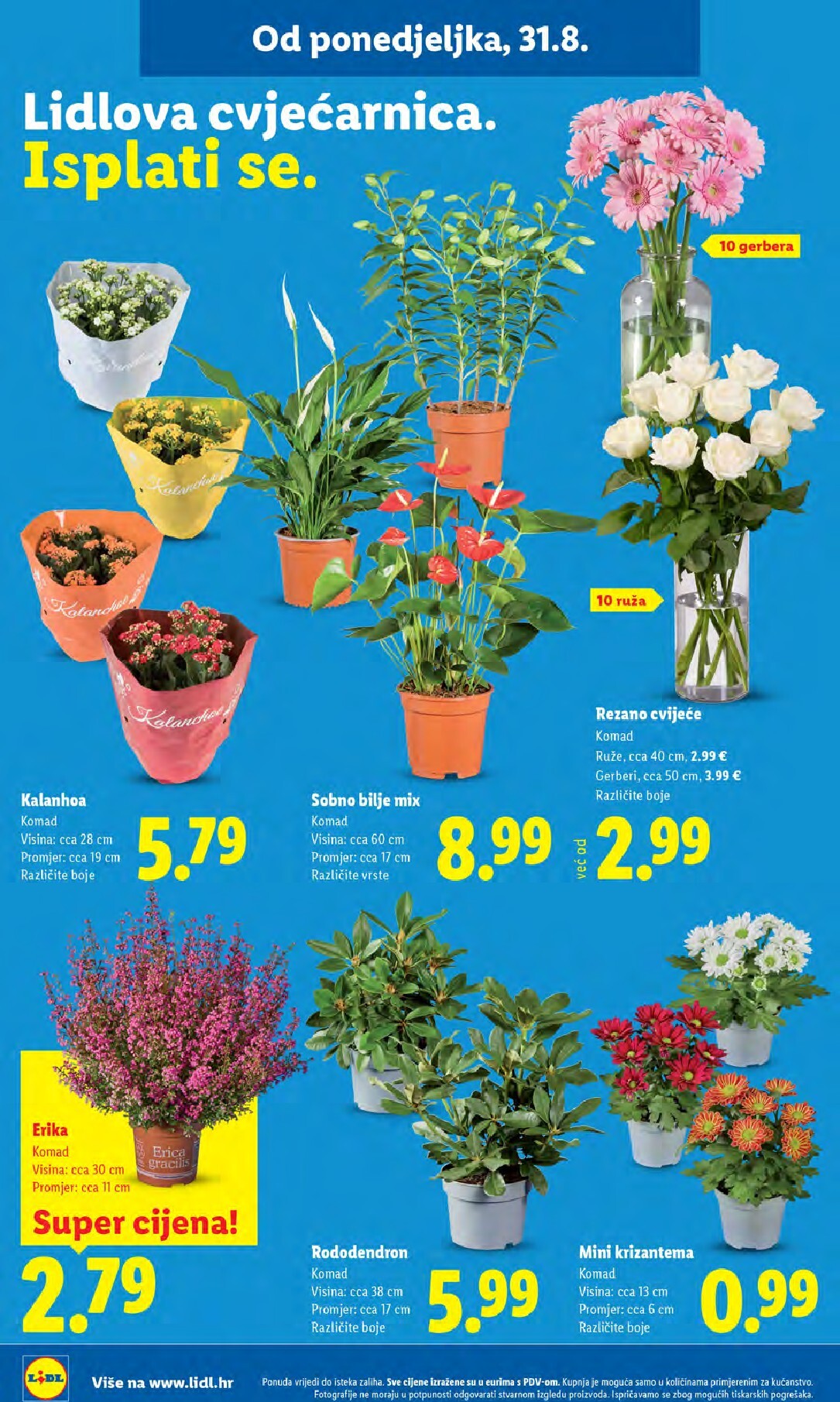 lidl - Novi Lidl katalog od ponedjeljka, 31.08.2026 do nedjelje, 06.09.2026 - page: 46
