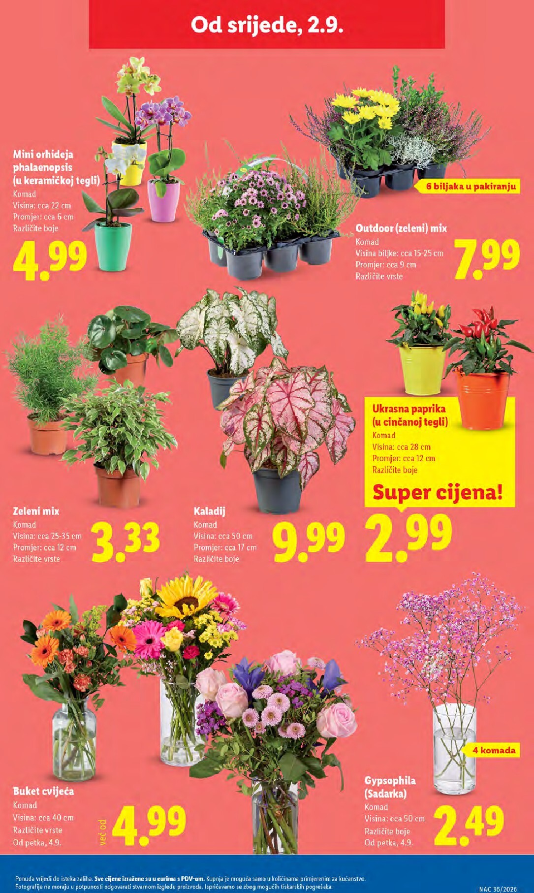 lidl - Aktualni katalog Lidl od ponedjeljka, 31.08.2026 do nedjelje, 06.09.2026 - page: 47