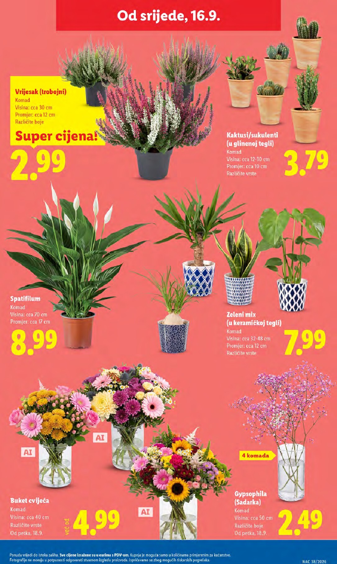 lidl - Novi Lidl katalog od ponedjeljka, 14.09.2026 do nedjelje, 20.09.2026 - page: 53