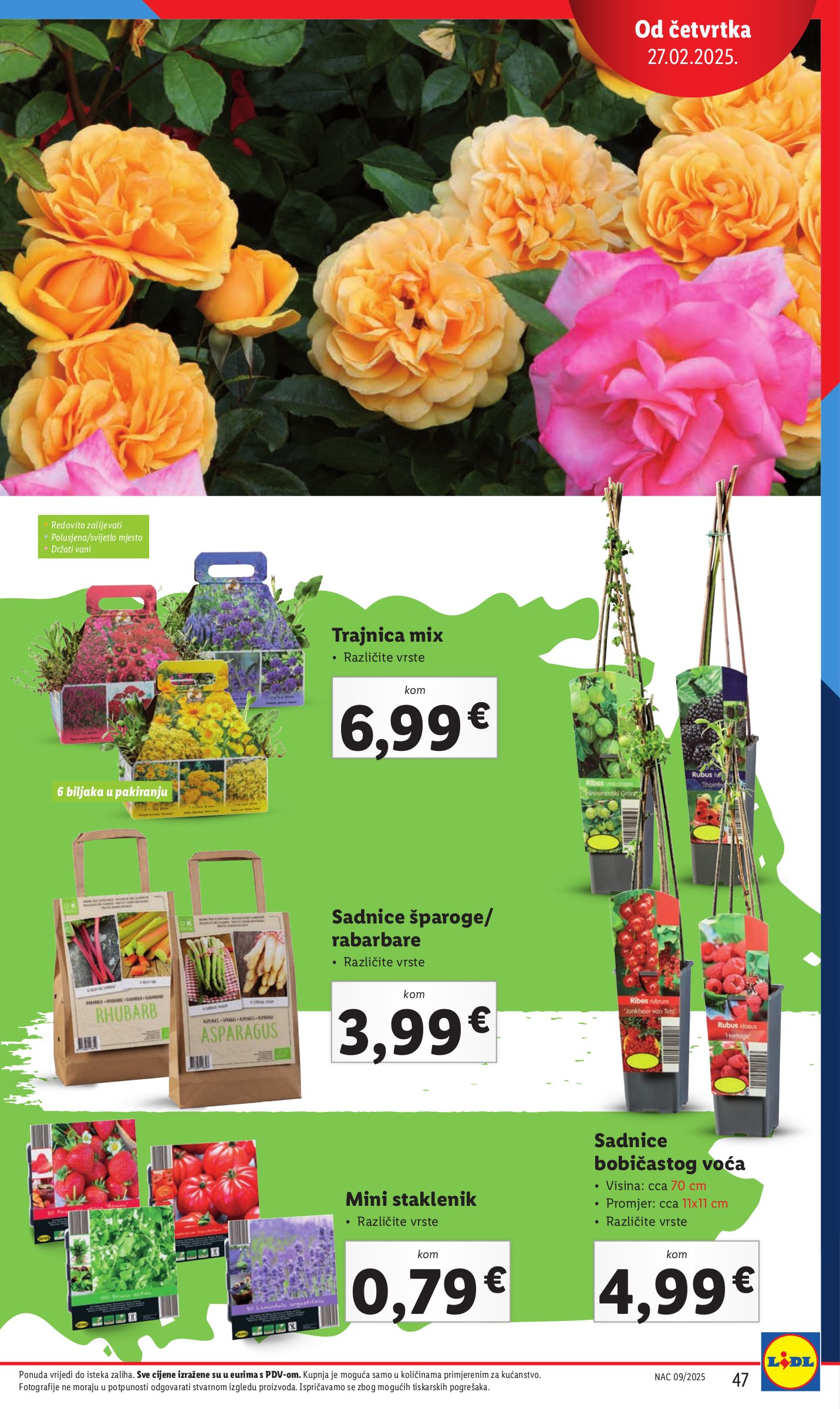 lidl - Prelistajte ovaj Lidl - Sve boje proljeća u vašem vrtu katalog, vrijedi od 27.02. do 16.05. - page: 47 lidl - Prelistajte ovaj Lidl - Sve boje proljeća u vašem vrtu katalog, vrijedi od 27.02. do 16.05. - page: 47