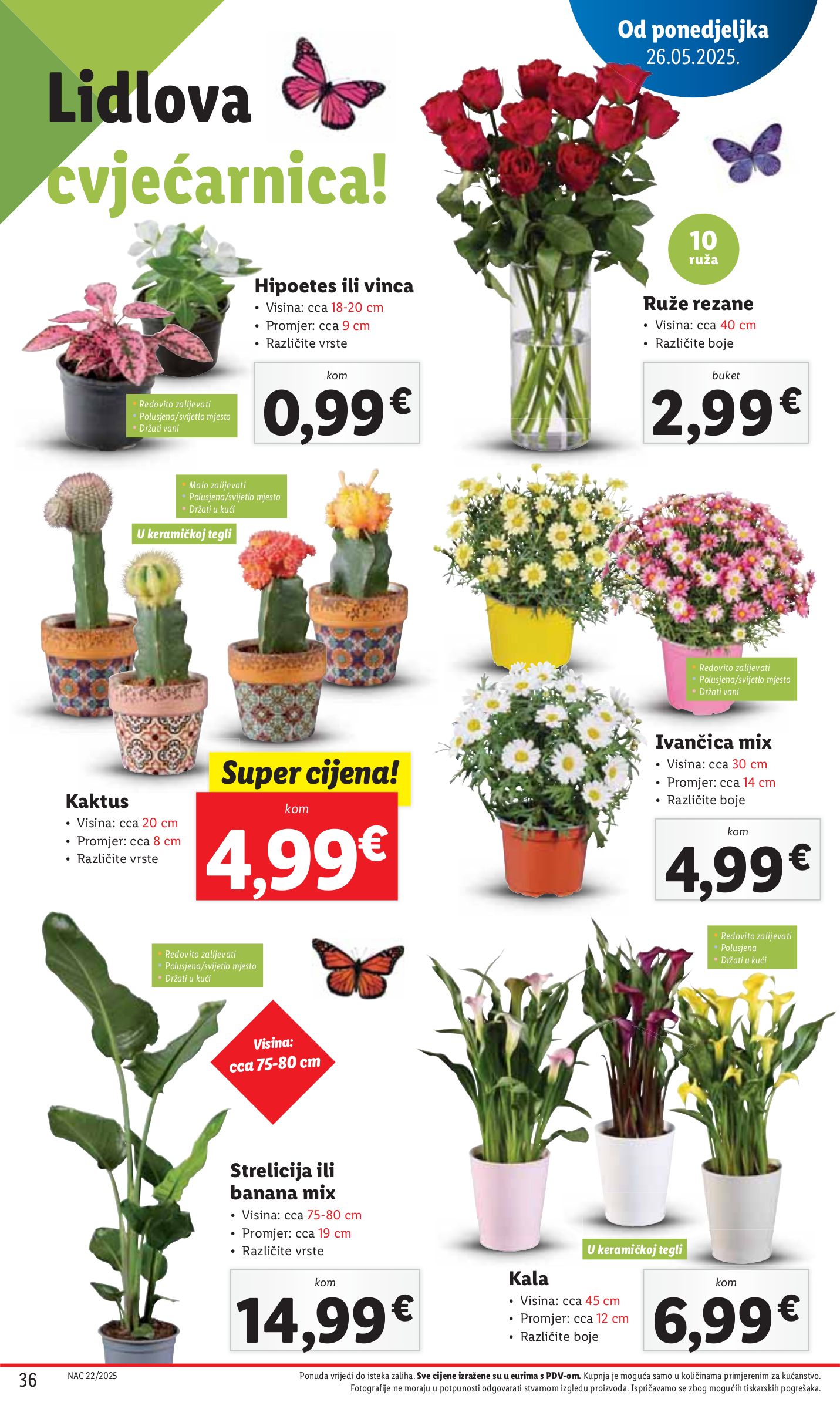 lidl - Prelistajte ovaj Lidl katalog, vrijedi od 29.05. do 01.06. - page: 36