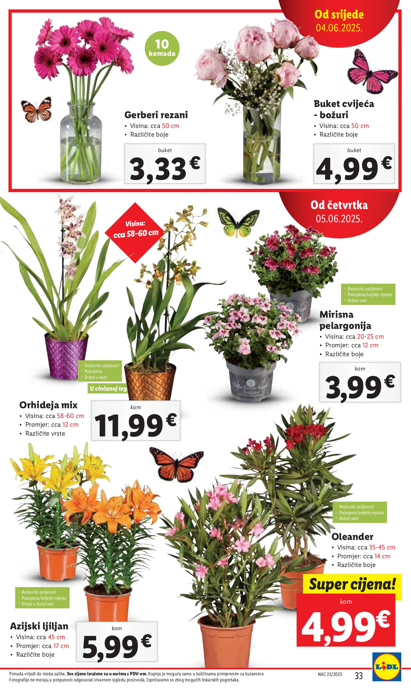 lidl - Prelistajte katalog Lidl, vrijedi od 05.06. do 08.06. - page: 33 lidl - Prelistajte katalog Lidl, vrijedi od 05.06. do 08.06. - page: 33