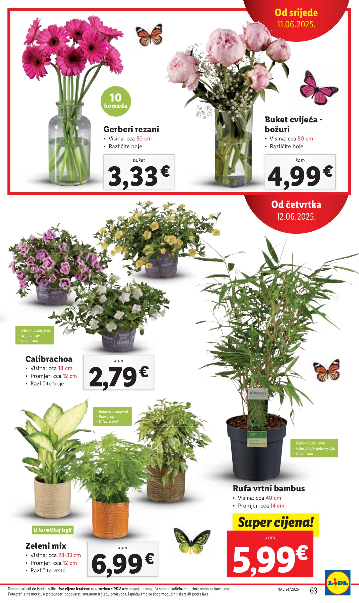 lidl - Prelistajte katalog Lidl, vrijedi od 09.06. do 15.06. - page: 63