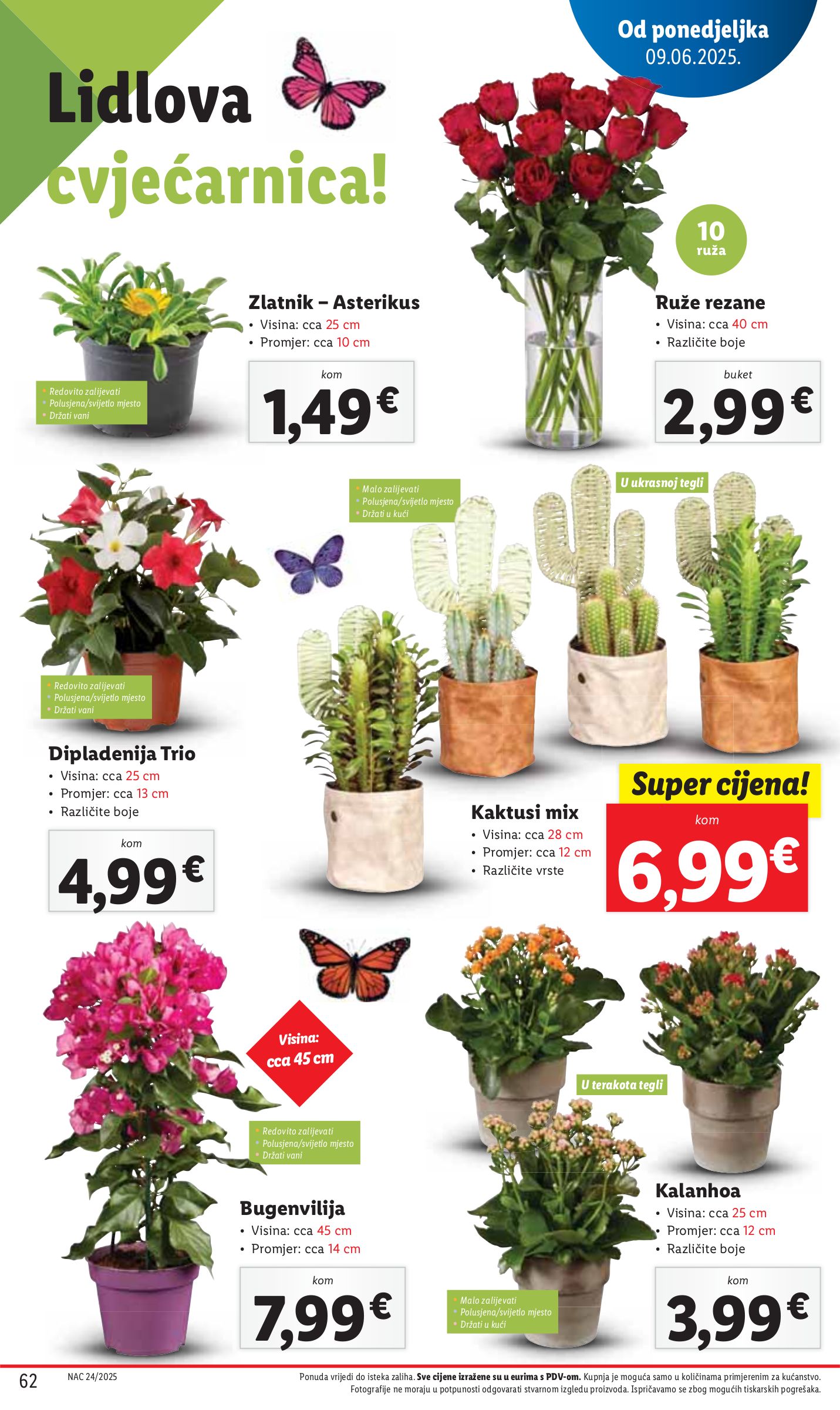 lidl - Prelistajte katalog Lidl, vrijedi od 09.06. do 15.06. - page: 62