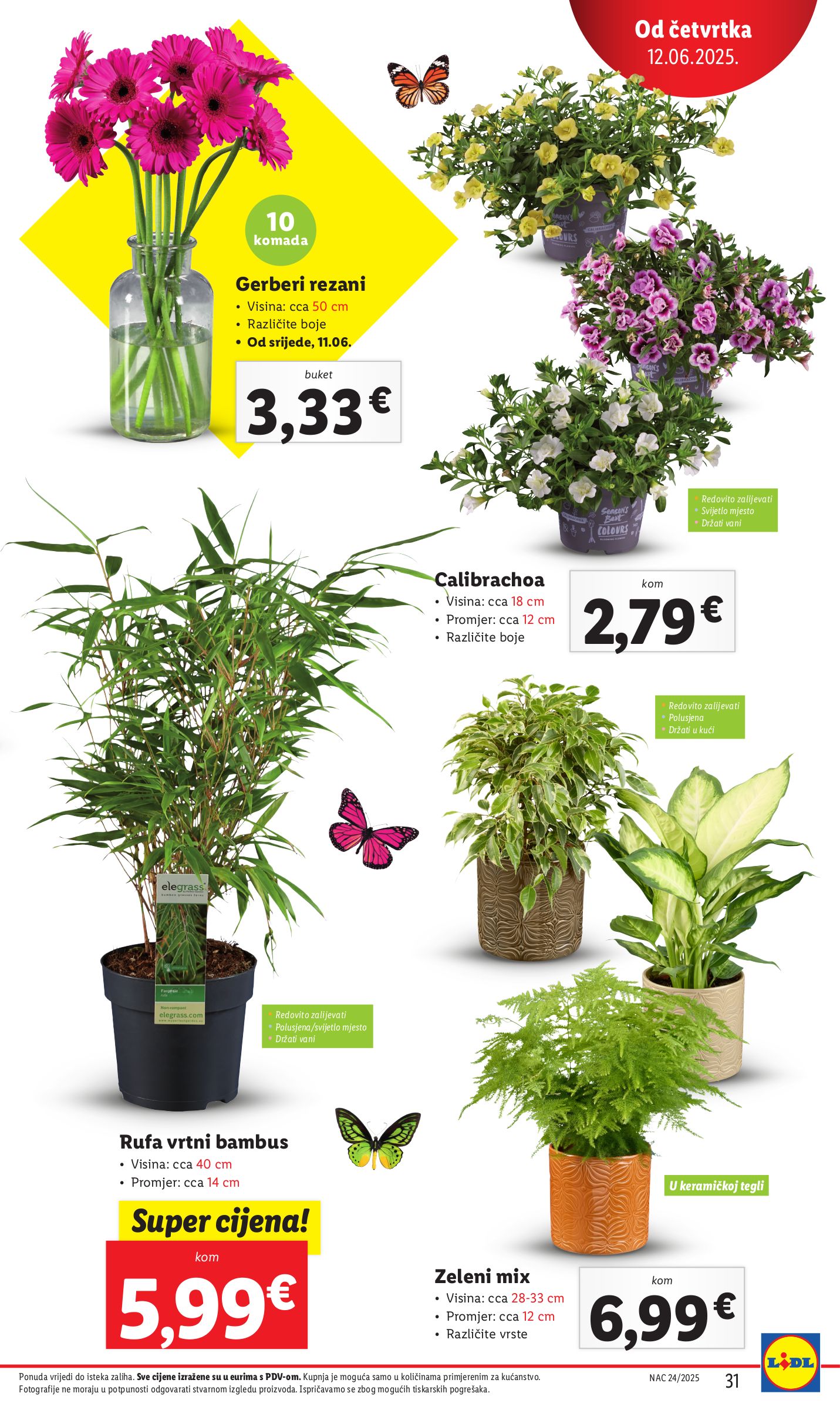 lidl - Prelistajte katalog Lidl, vrijedi od 12.06. do 15.06. - page: 31