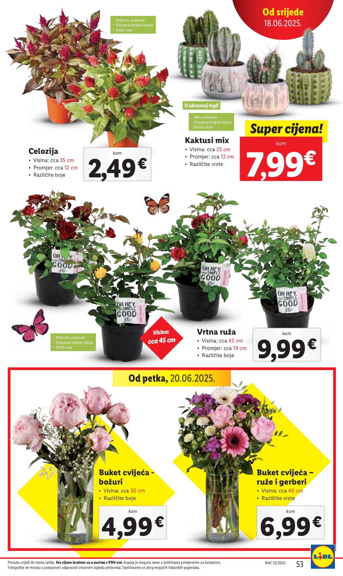 lidl - Prelistajte katalog Lidl, vrijedi od 16.06. do 21.06. - page: 53
