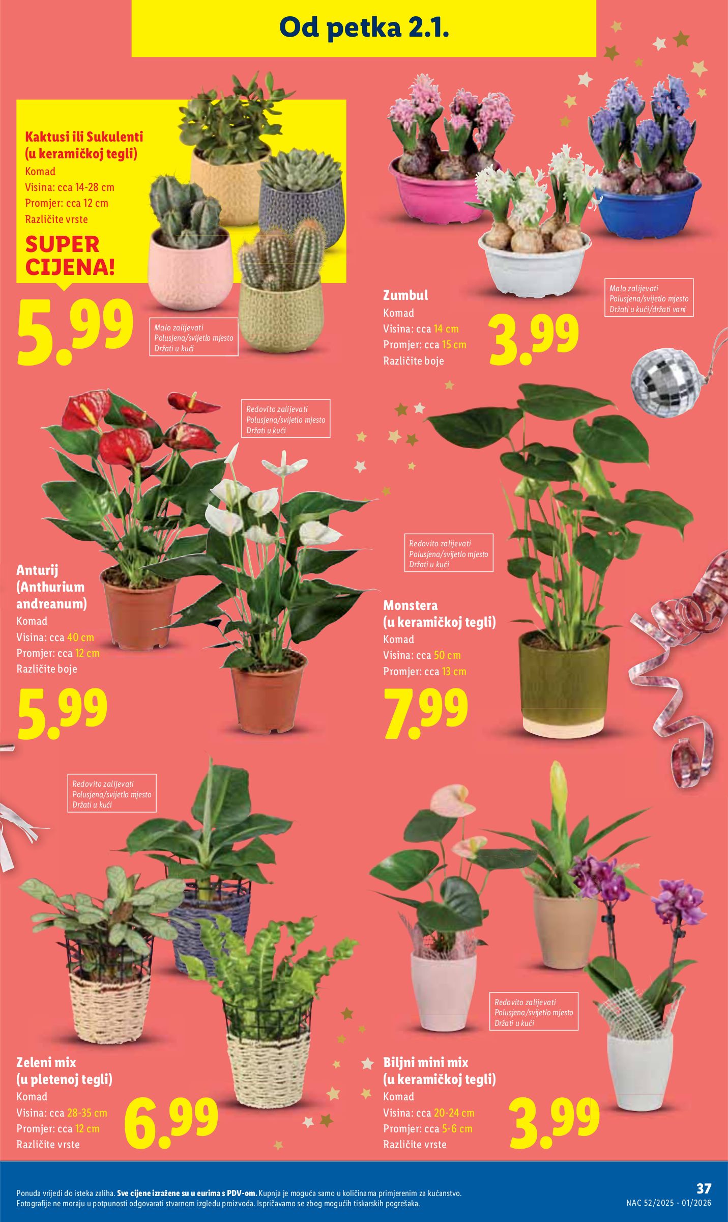 lidl - Prelistajte katalog Lidl, vrijedi od 27.12. do 05.01. - page: 37