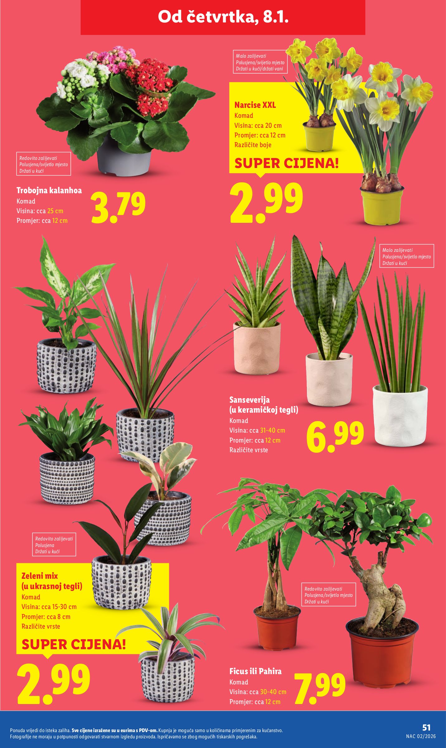 lidl - Prelistajte katalog Lidl, vrijedi od 07.01. do 11.01. - page: 51