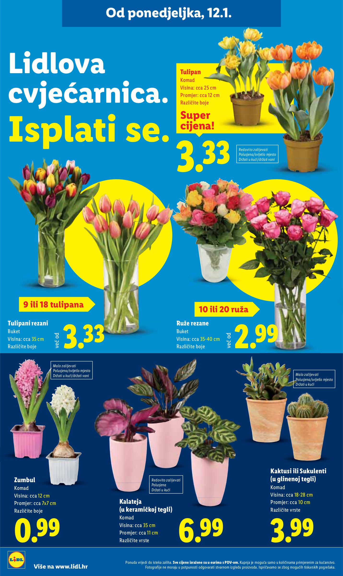 lidl - Prelistajte katalog Lidl, vrijedi od 12.01. do 18.01. - page: 52