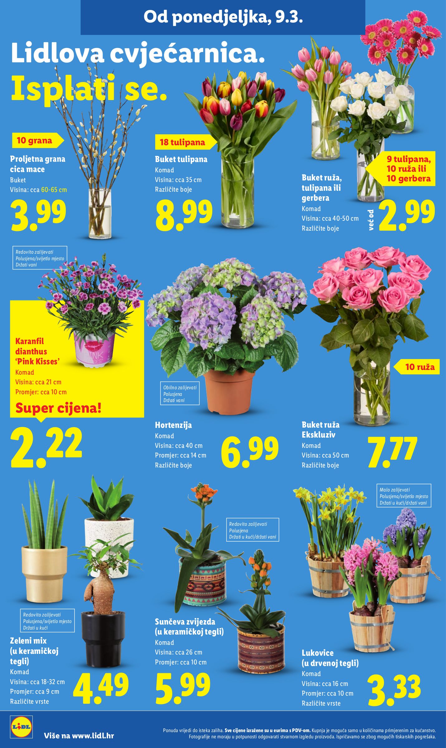 lidl - Prelistajte katalog Lidl, vrijedi od 09.03.2026 do 15.03.2026 - page: 50