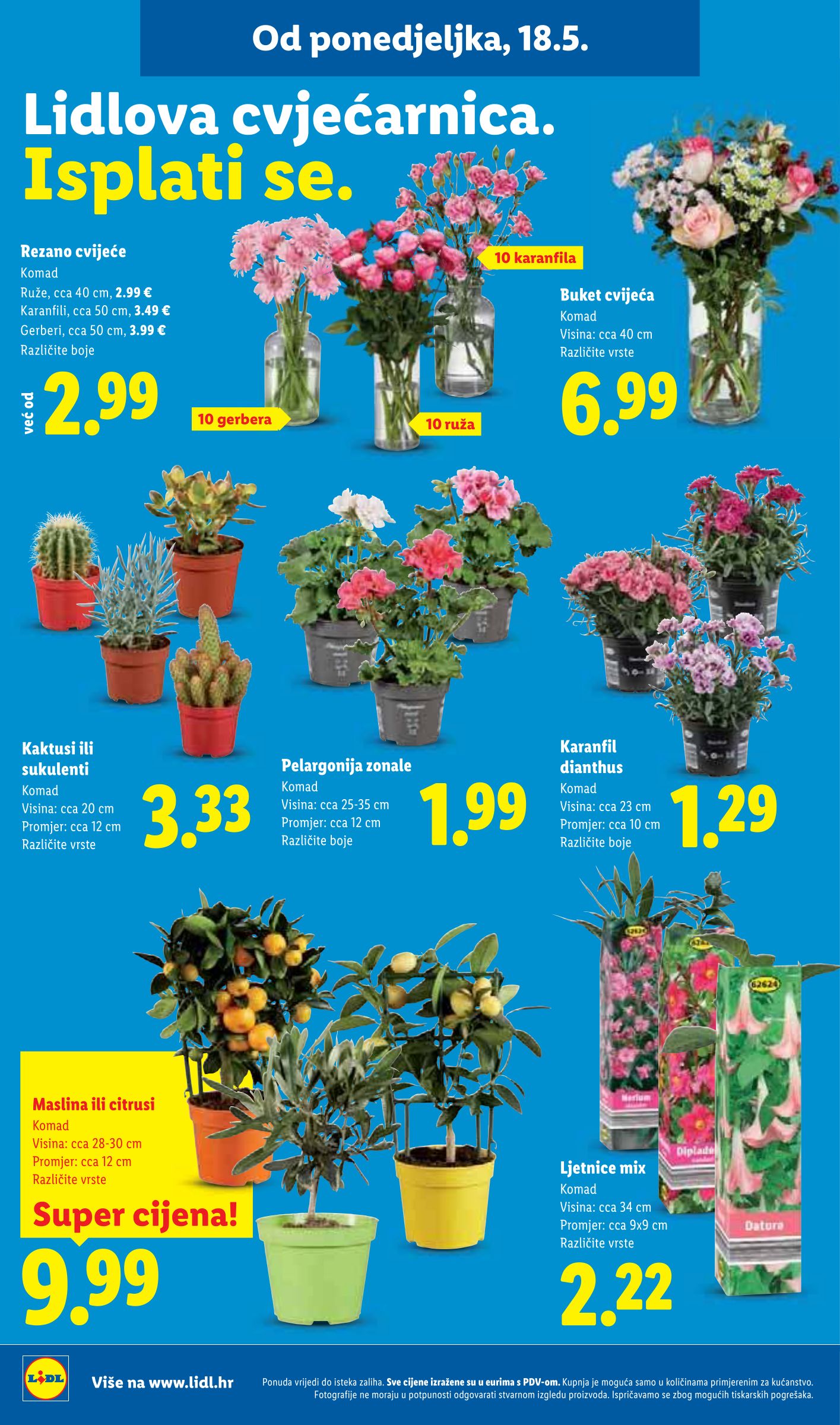 lidl - Lidl letak za sljedeći tjedan od ponedjeljka 18.05.2026 do nedjelje 24.05.2026 - page: 42