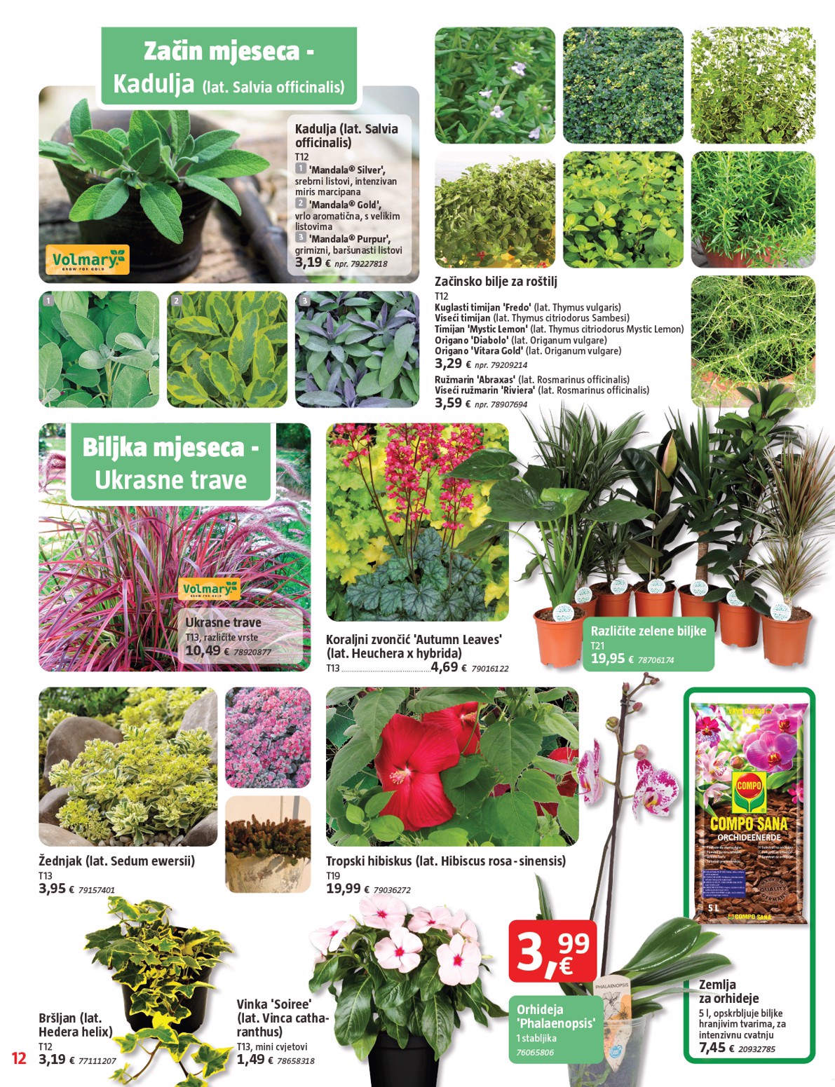 bauhaus - Prelistajte katalog BAUHAUS, vrijedi od 31.07. do 03.09. - page: 12