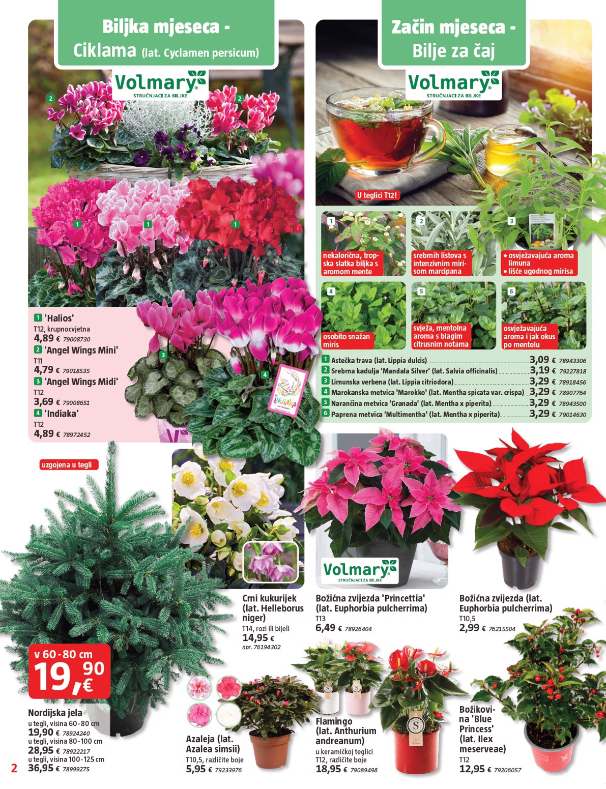 bauhaus - Prelistajte katalog BAUHAUS, vrijedi od 06.11. do 03.12. - page: 2